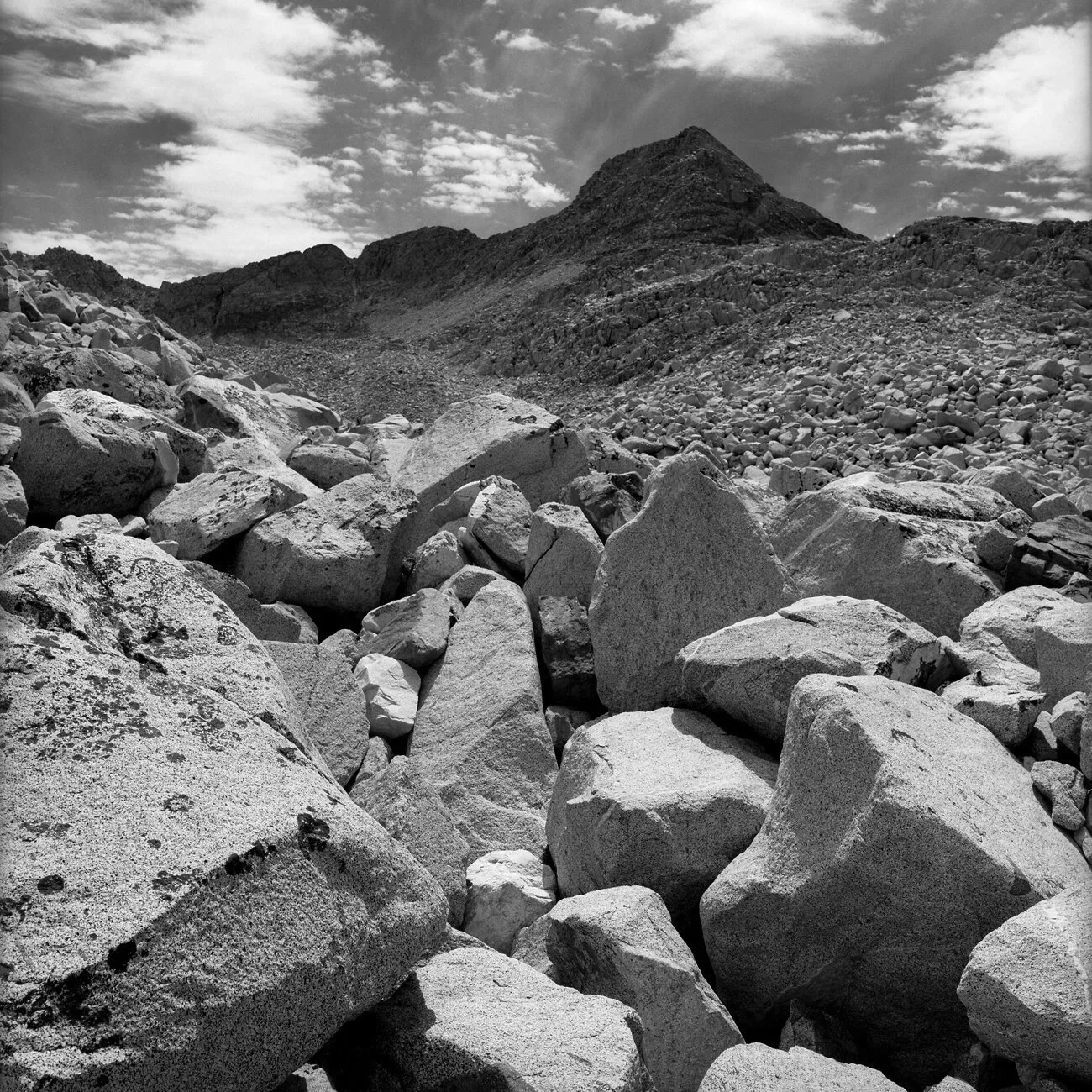 JMT_0714_3-9.jpg
