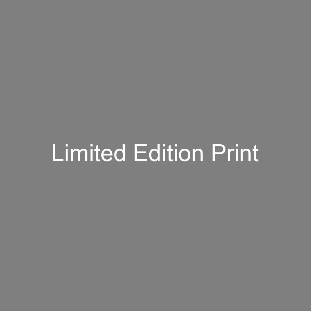 2026 Sierra Sabbatical limited edition print