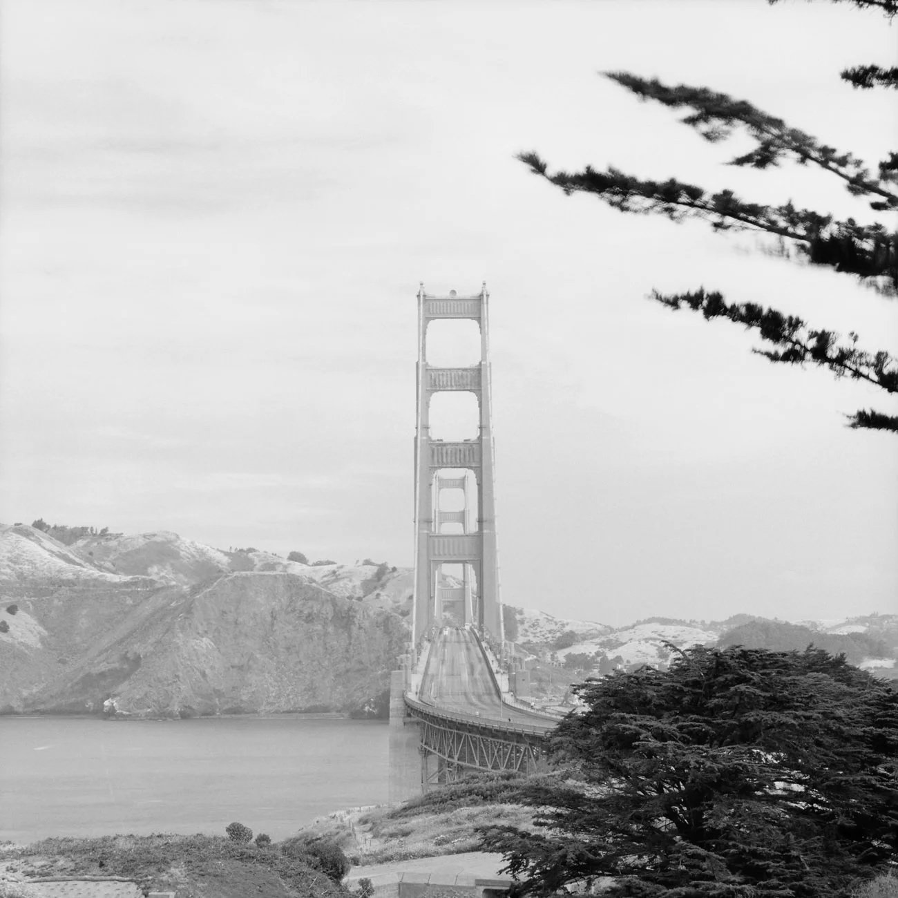 B08-001.jpg