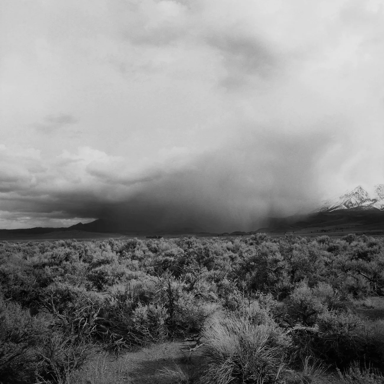 Watching_an_Approaching_Storm.jpg