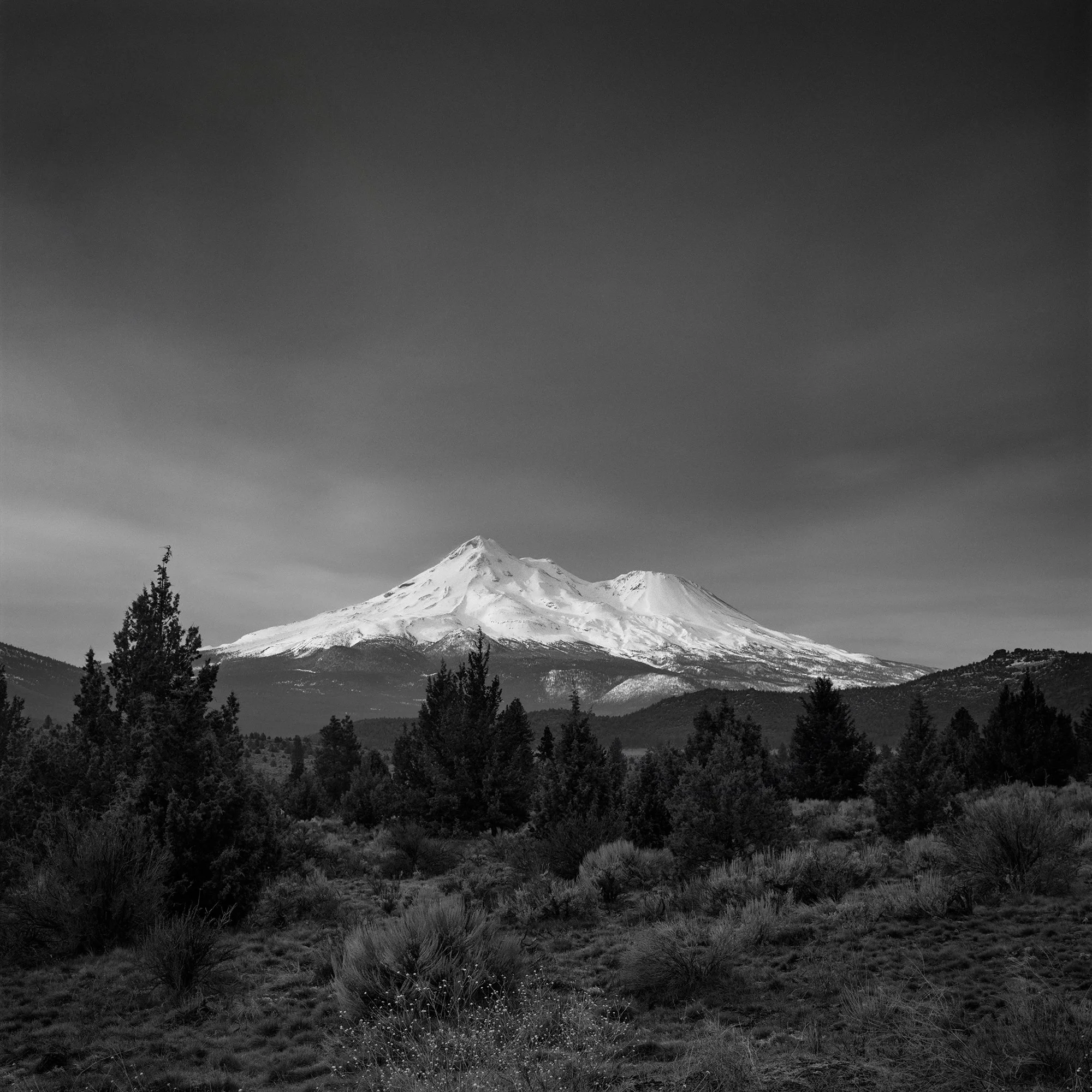 Mt-Shasta-6007.jpg