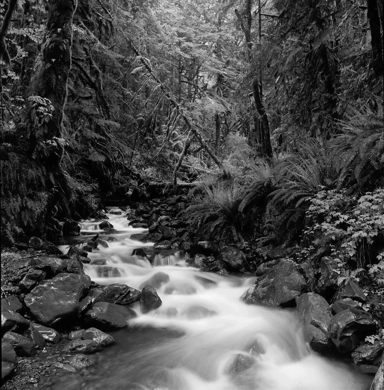 WA0011.jpg