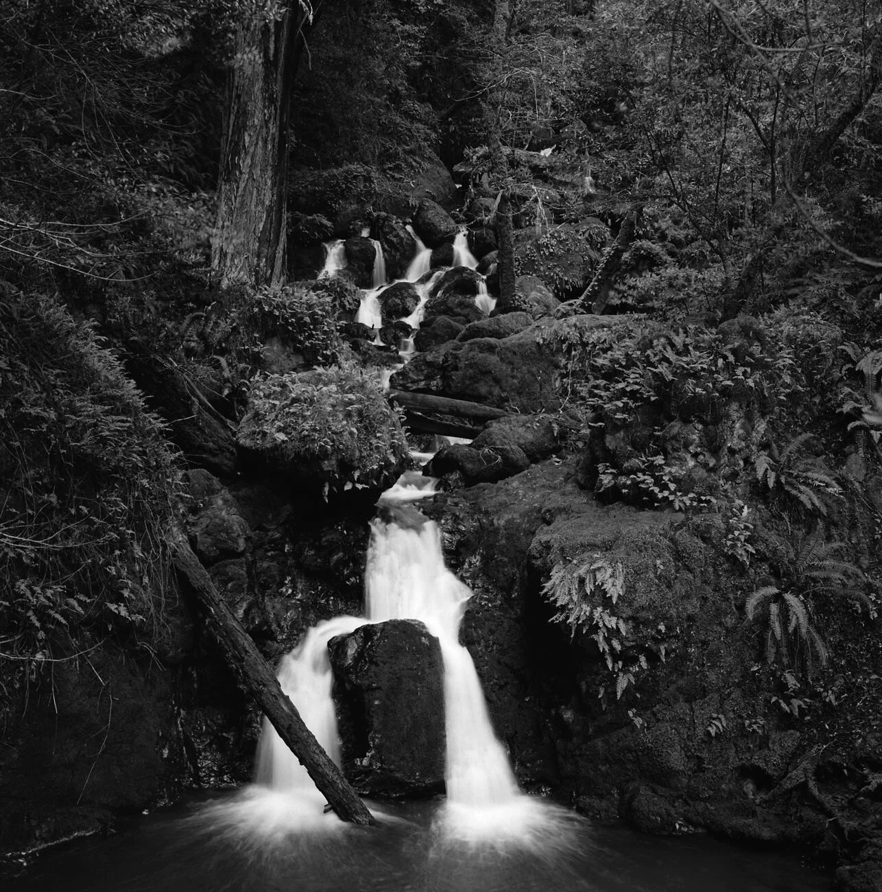 Cataract_Falls_Mt_Tam_2013-3.jpg
