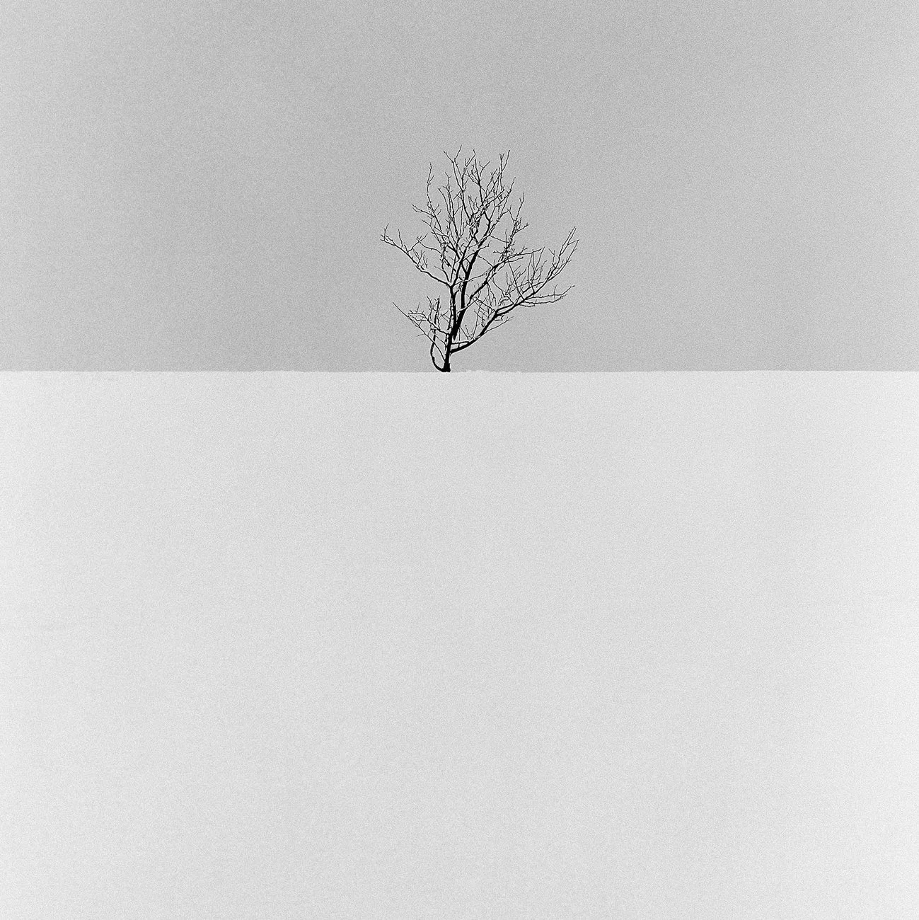 A Cold Beginning