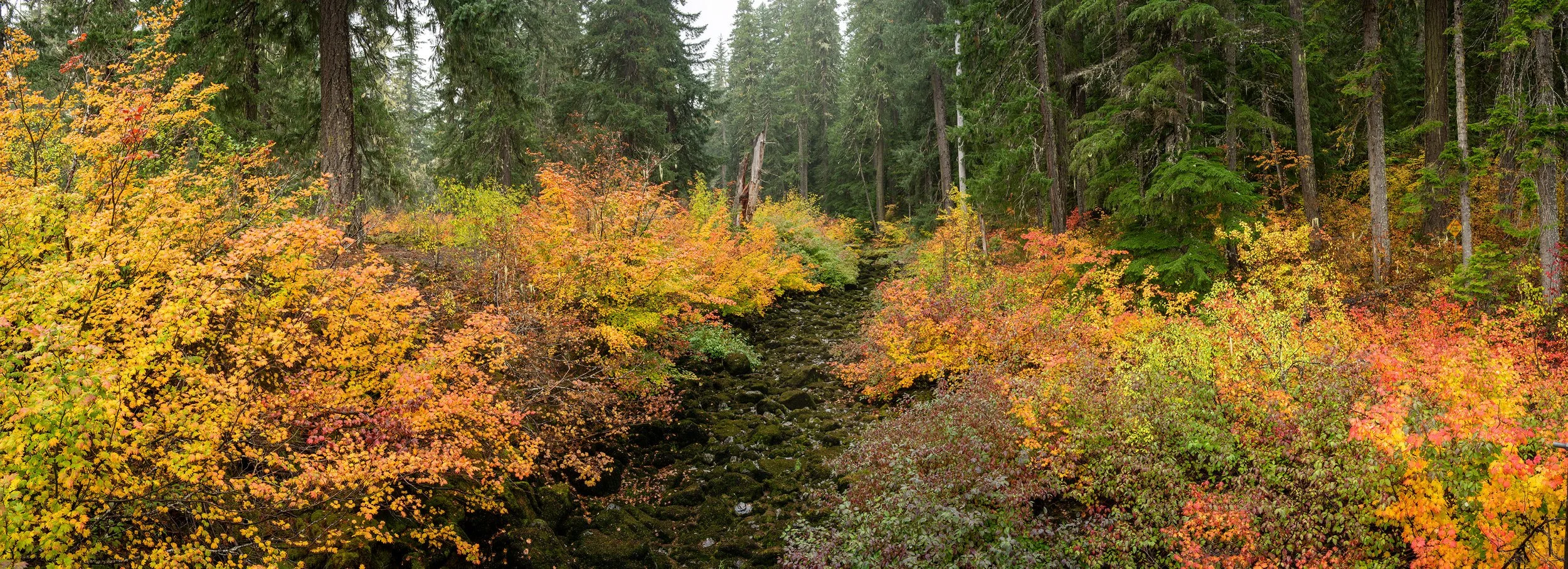 Mckenzie-Pass-6696.jpg