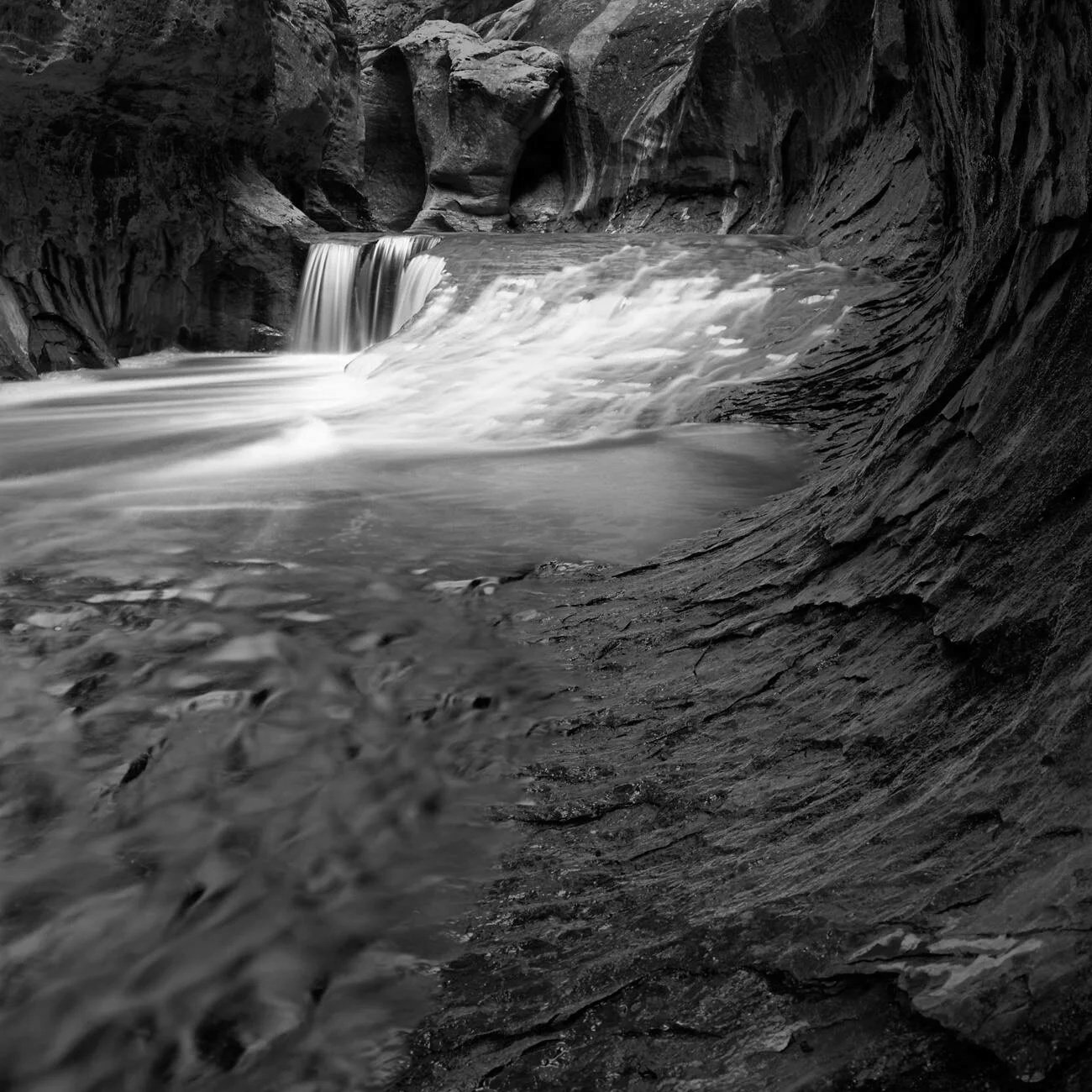 0411_Zion-B-4017.jpg