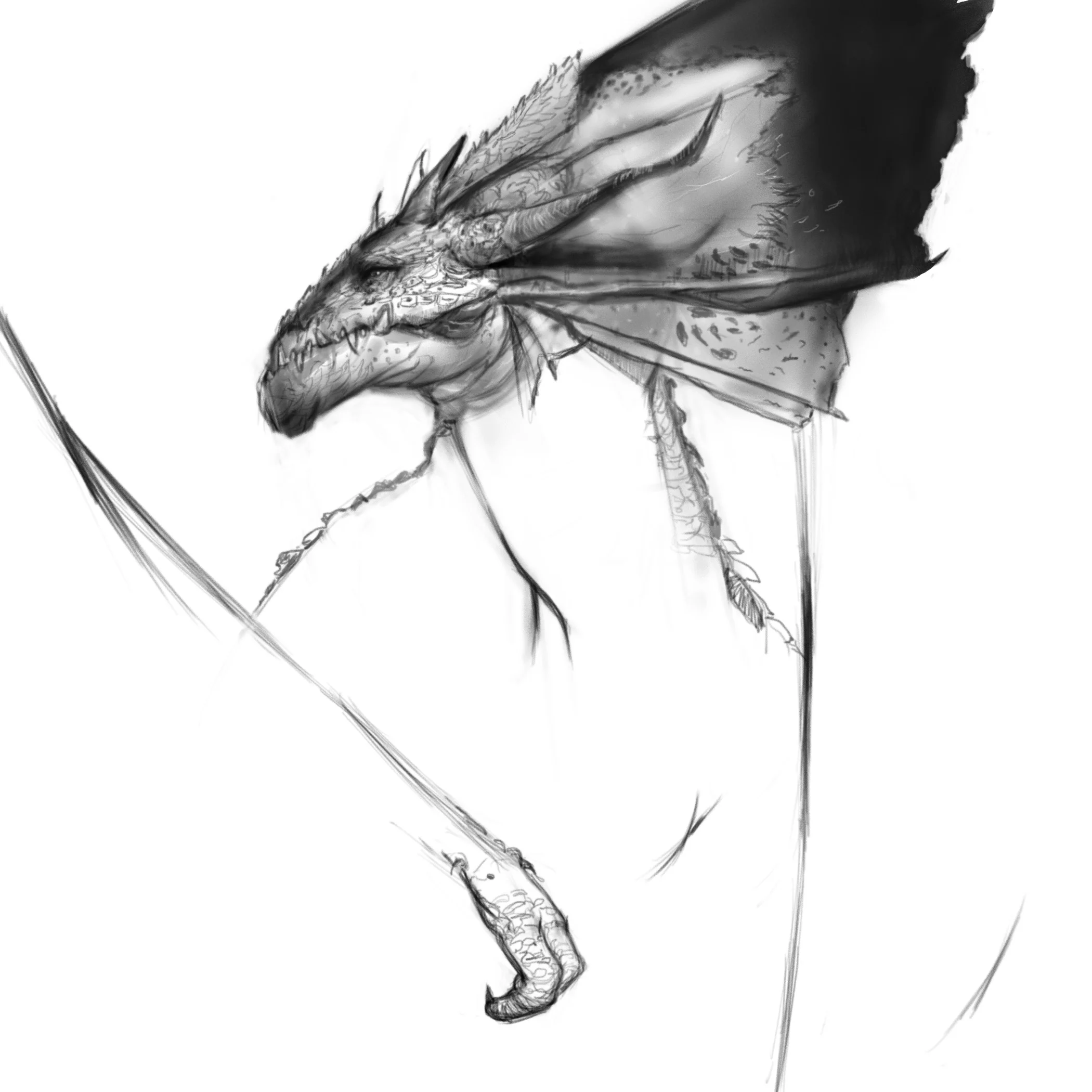 DRagon Head.jpg