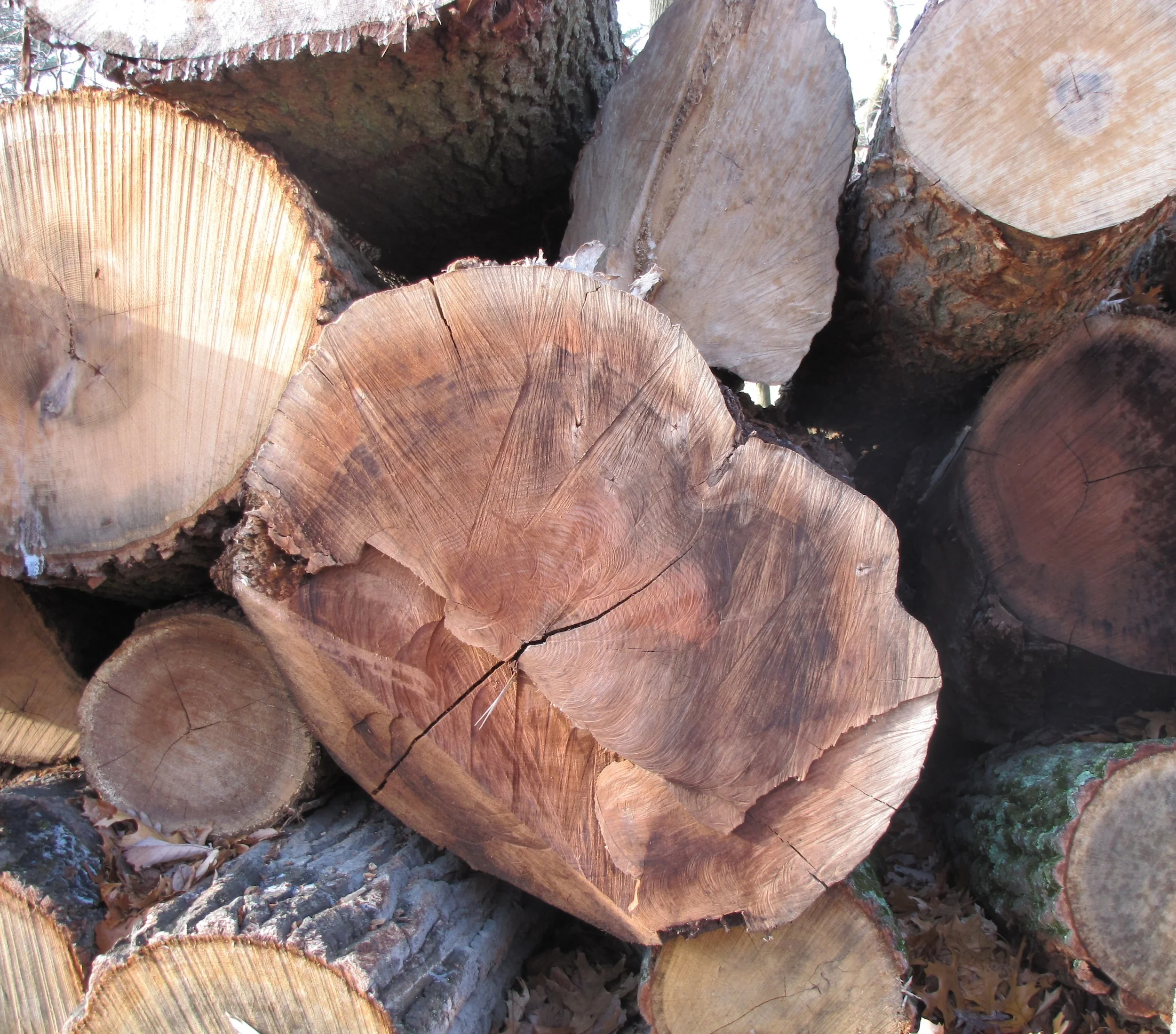I select trees by hand for each project. 