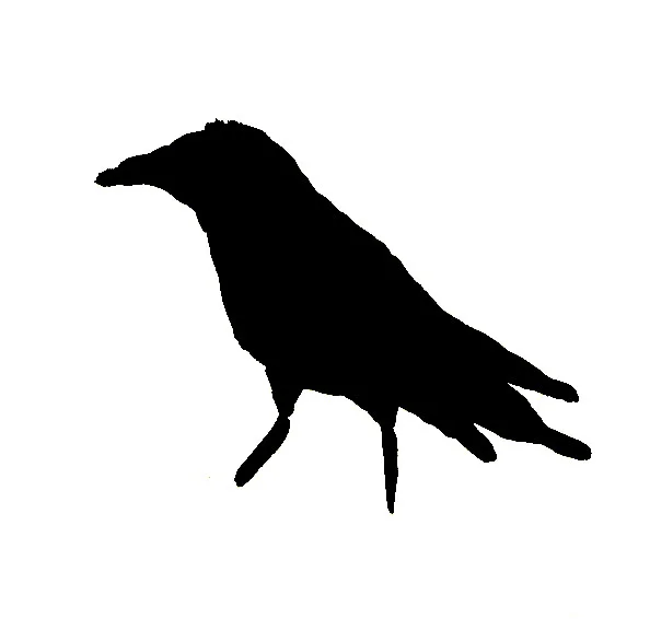 Funny Raven Letterpress Cards (Matching)