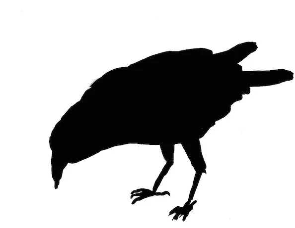 Pecking Raven Letterpress Cards (Matching)