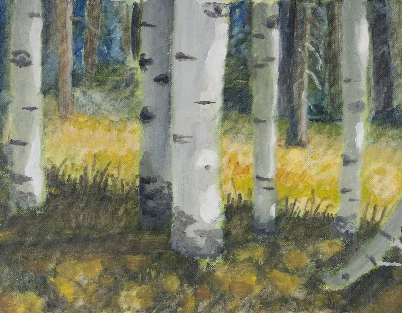Birch Trunks Giclée  Reproduction