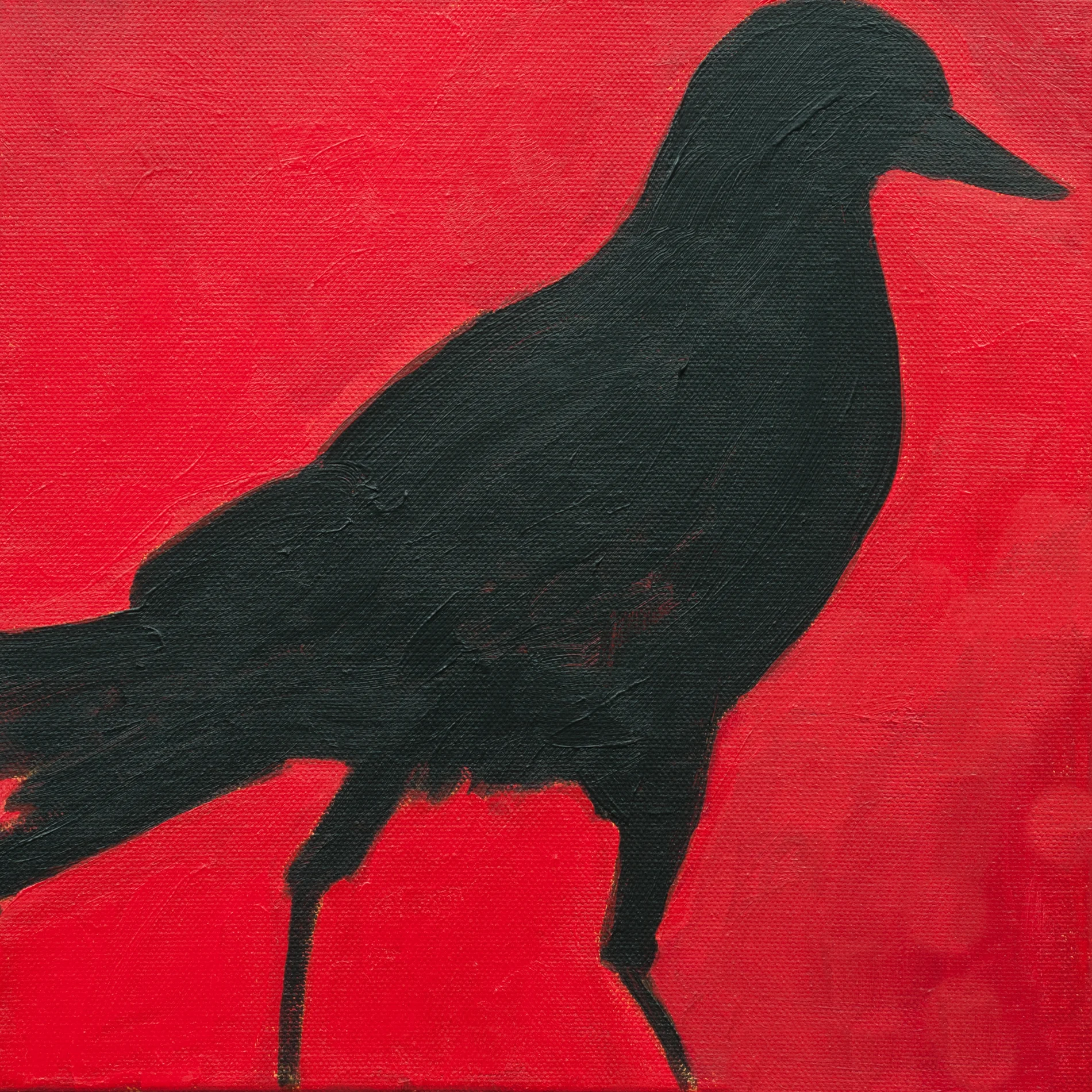 Crow No. 13