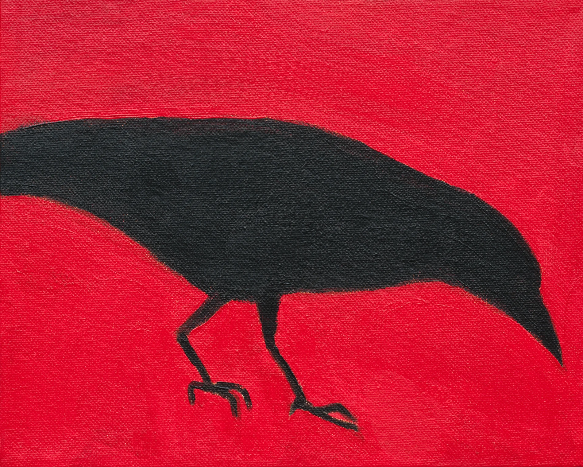 Crow No. 16