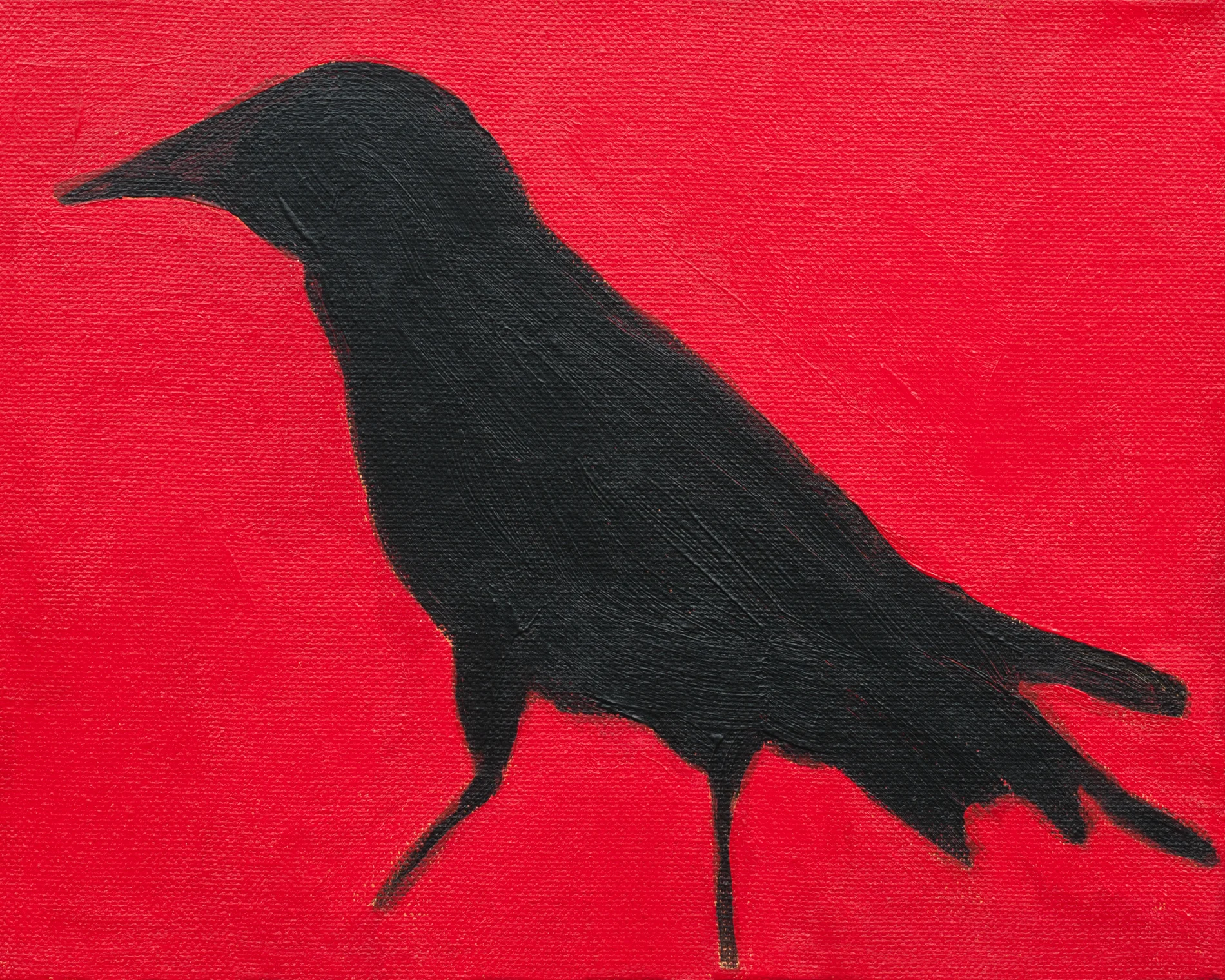 Crow No. 17