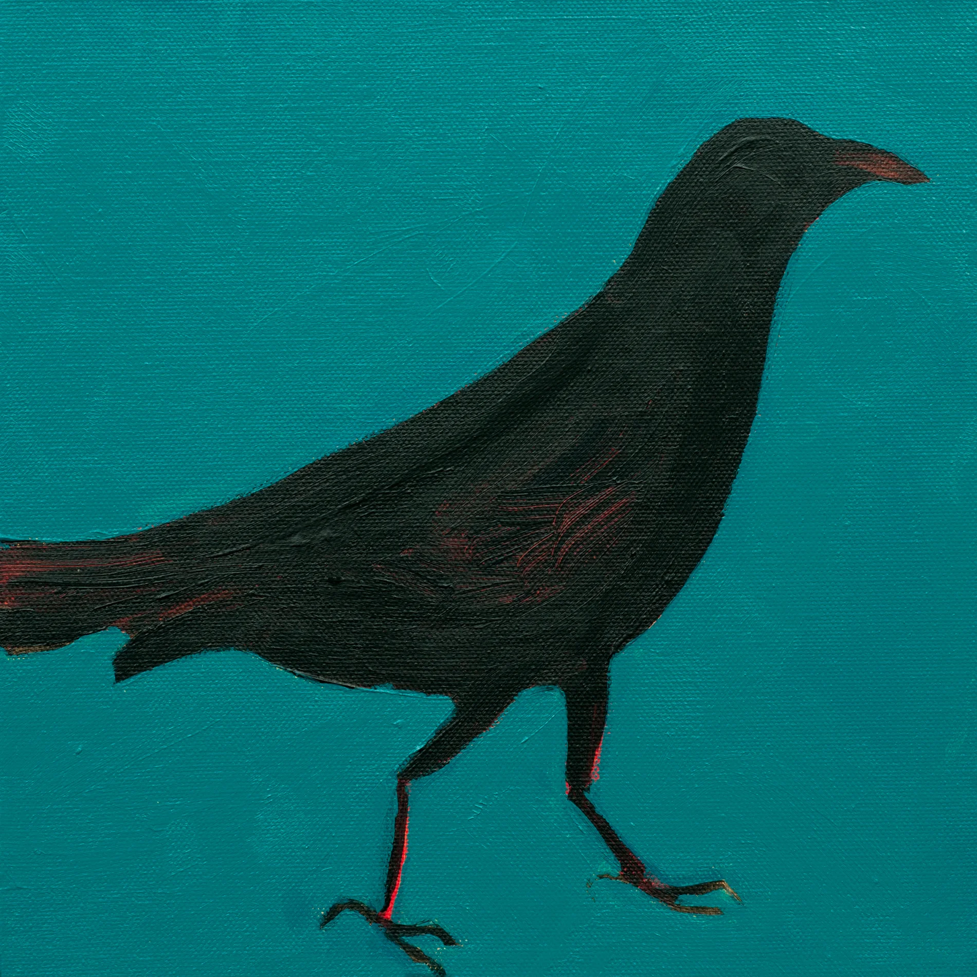 Crow No. 19