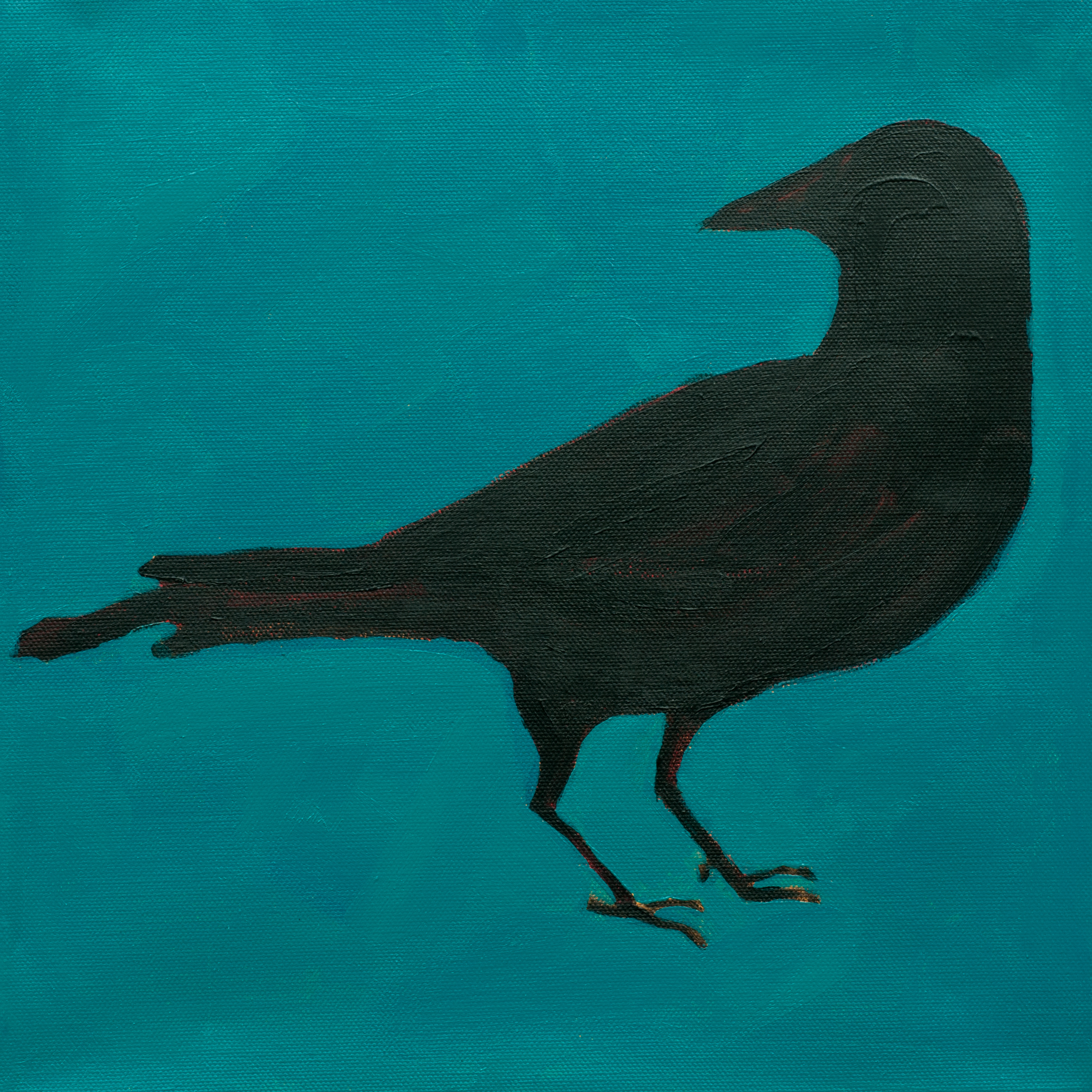 Crow No. 20