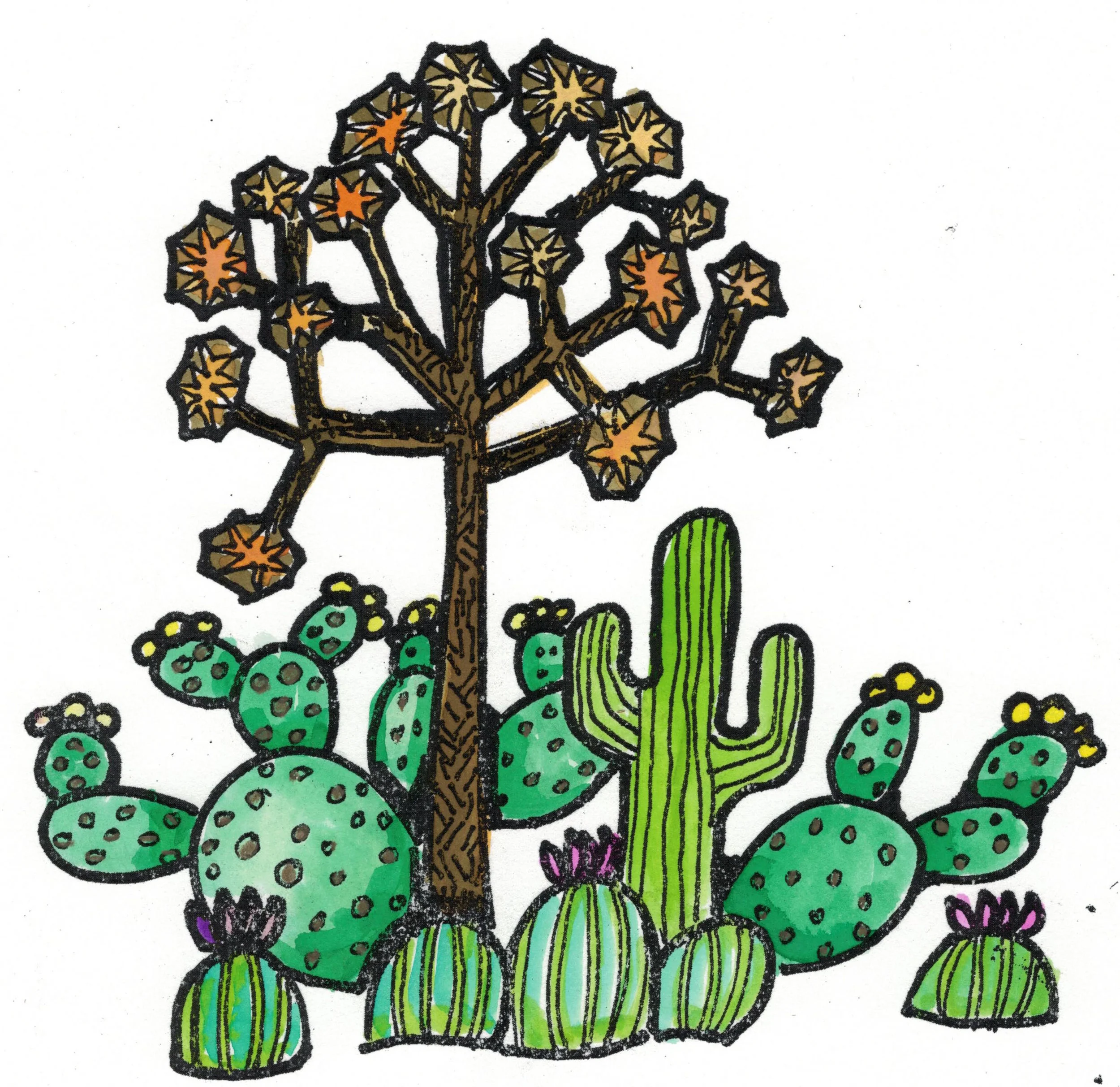 SingleJoshuaTree_Color.jpg