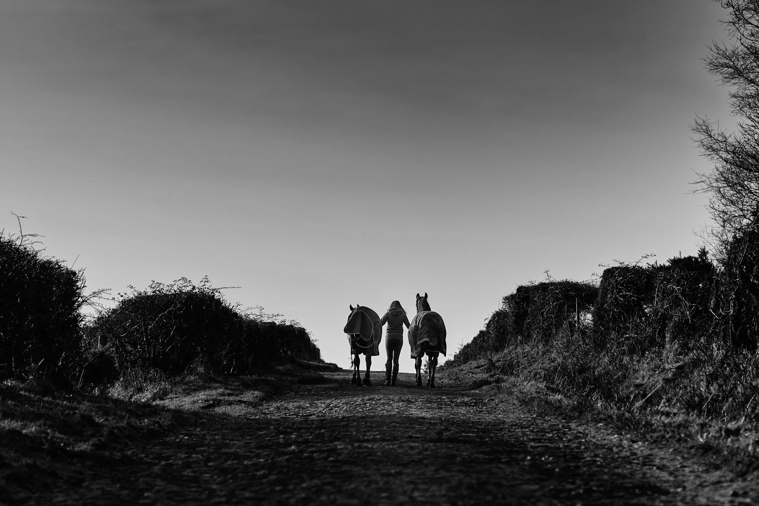 Chapter 9: Departing from The Horse Hearth