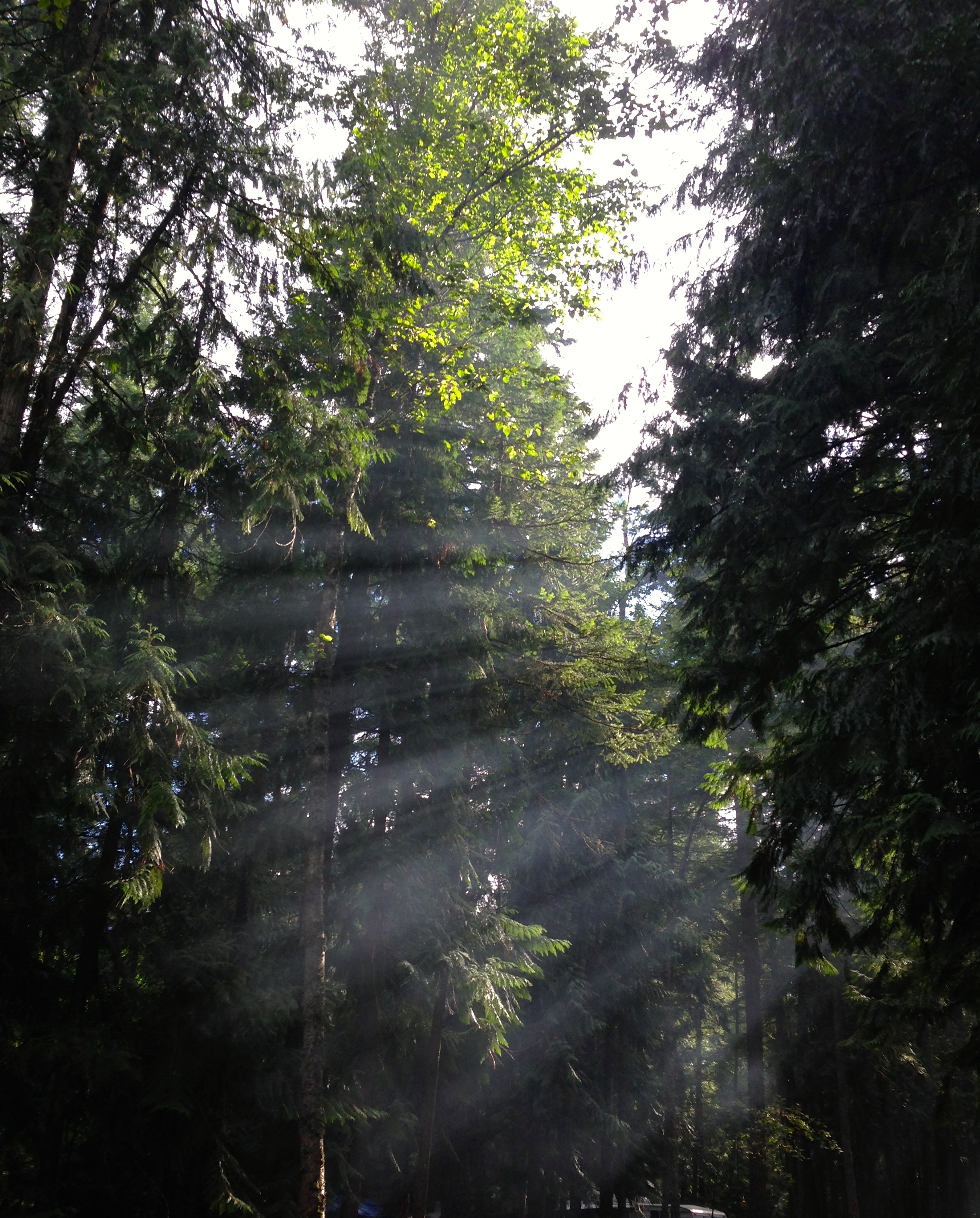 Shuswap Lake Provincial Park