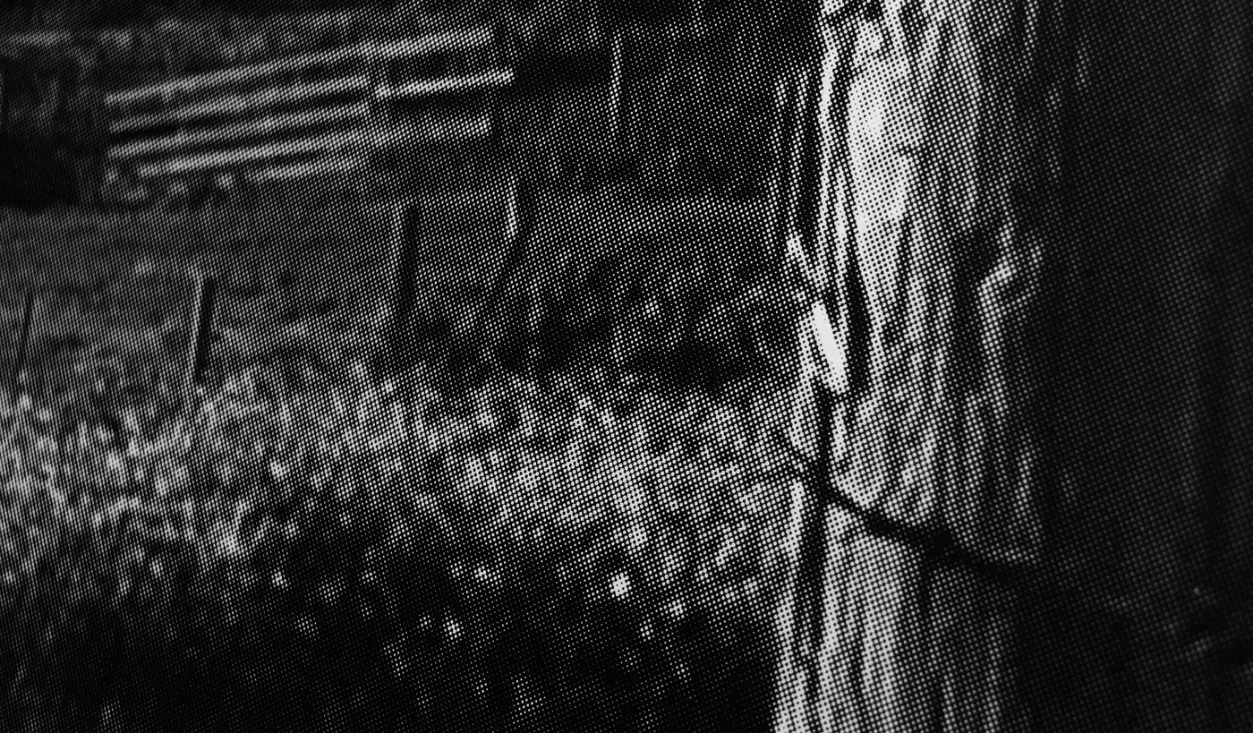 Point Reyes Ranch and Fence (close up)