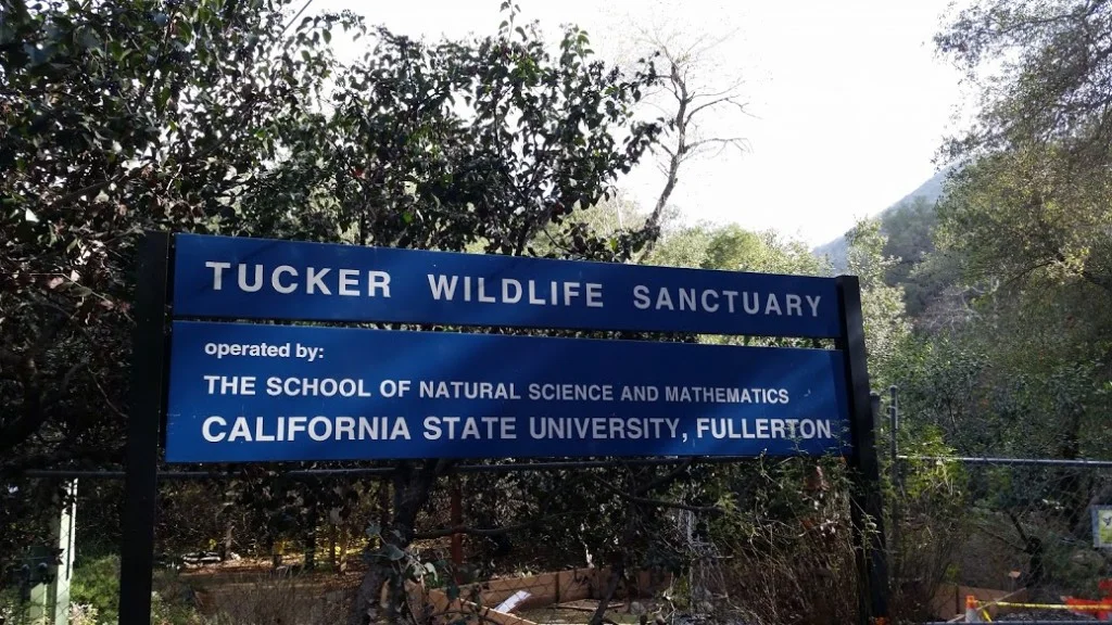TuckerWildlifeSanctuary1-1024x576.jpg