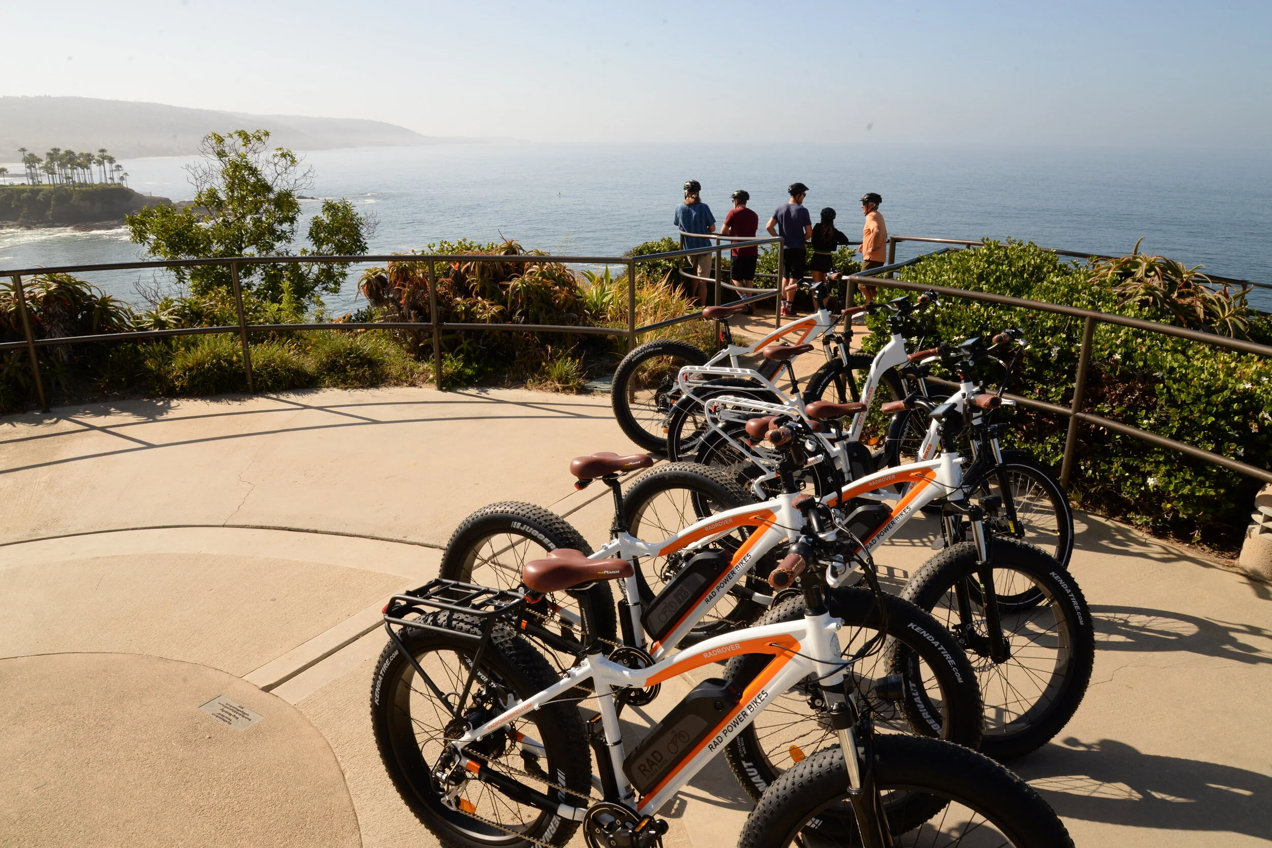 Daily Tours and Lessons La Vida Laguna