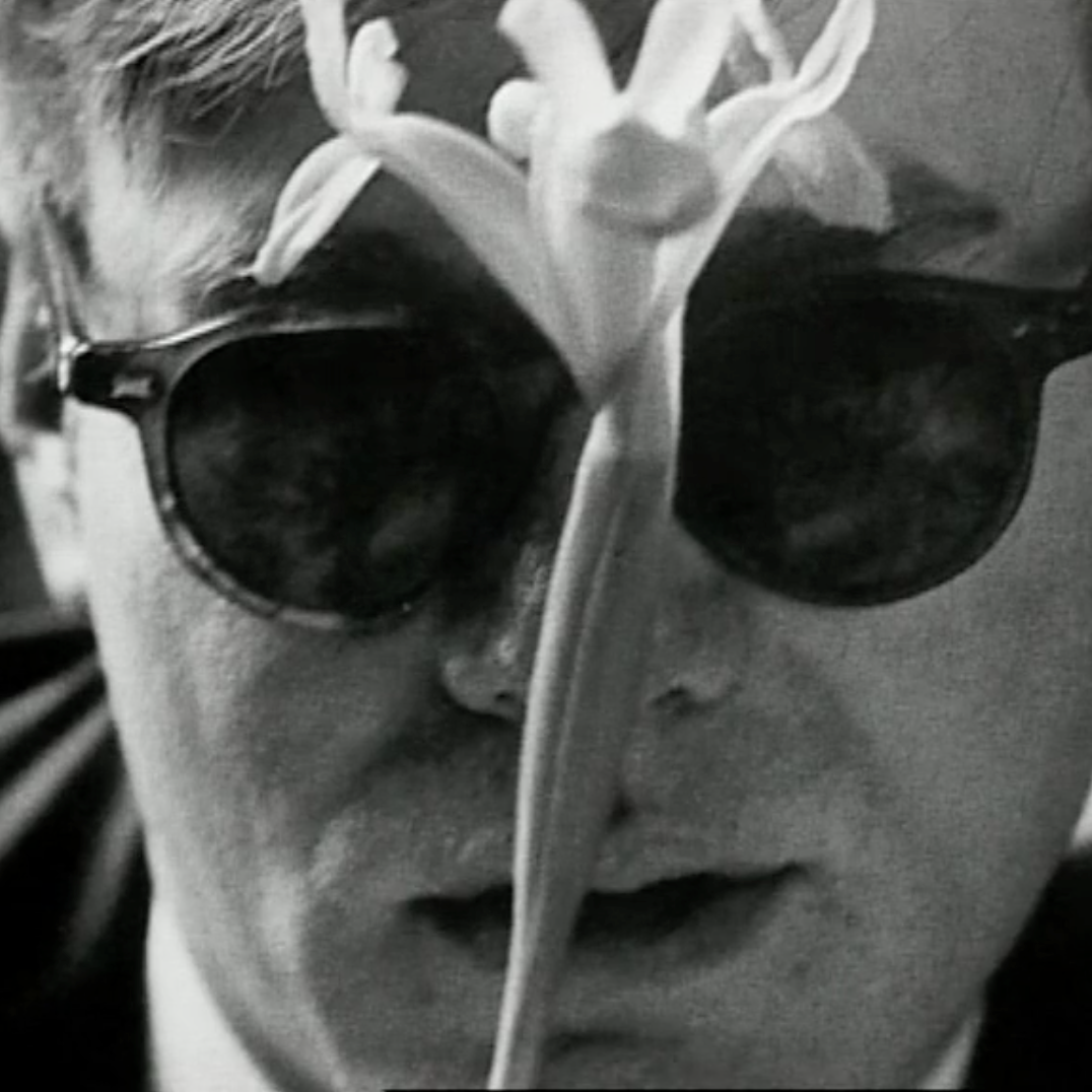 Warhol2Thumb.png