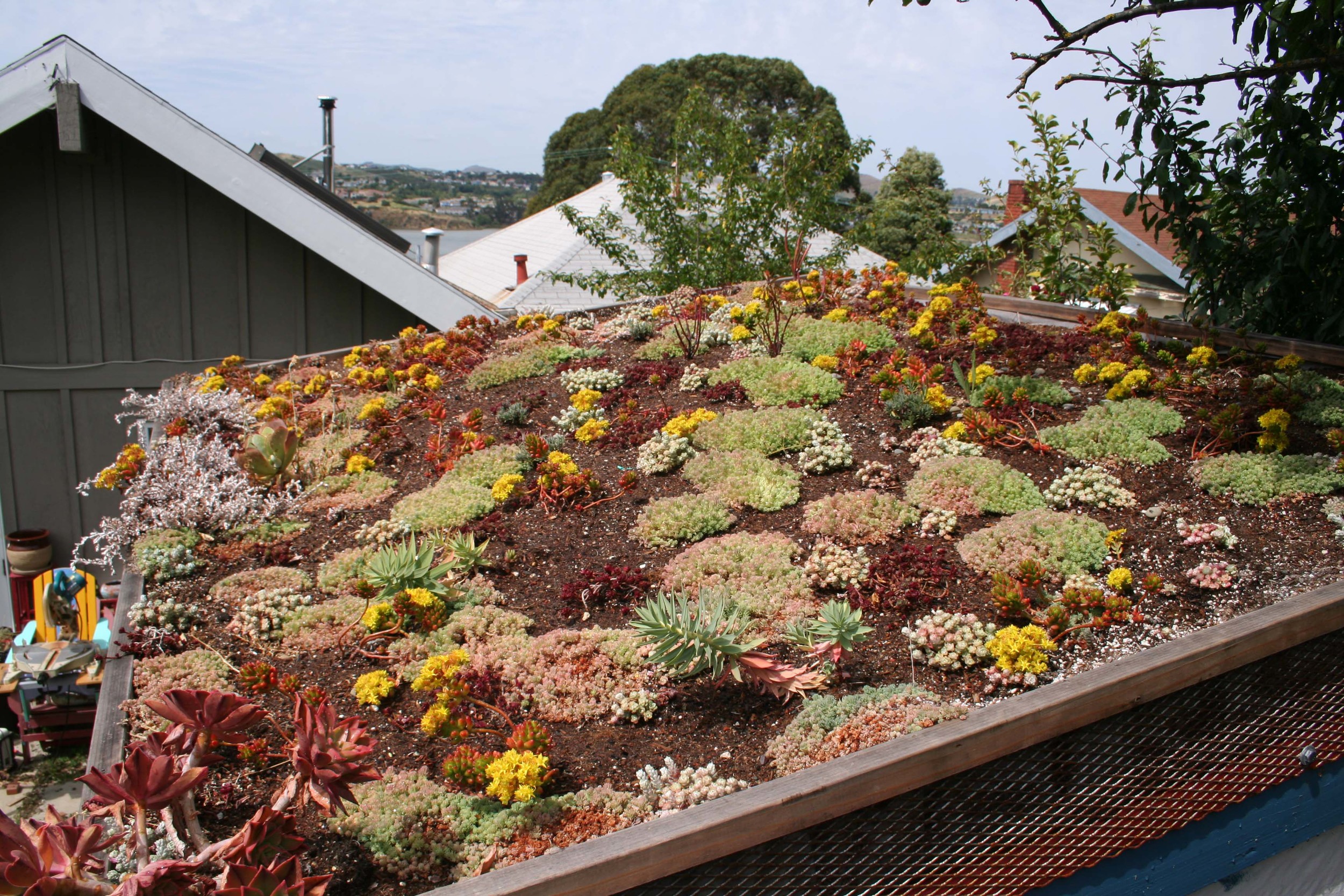 Plants with suitable root requirements are then planted.