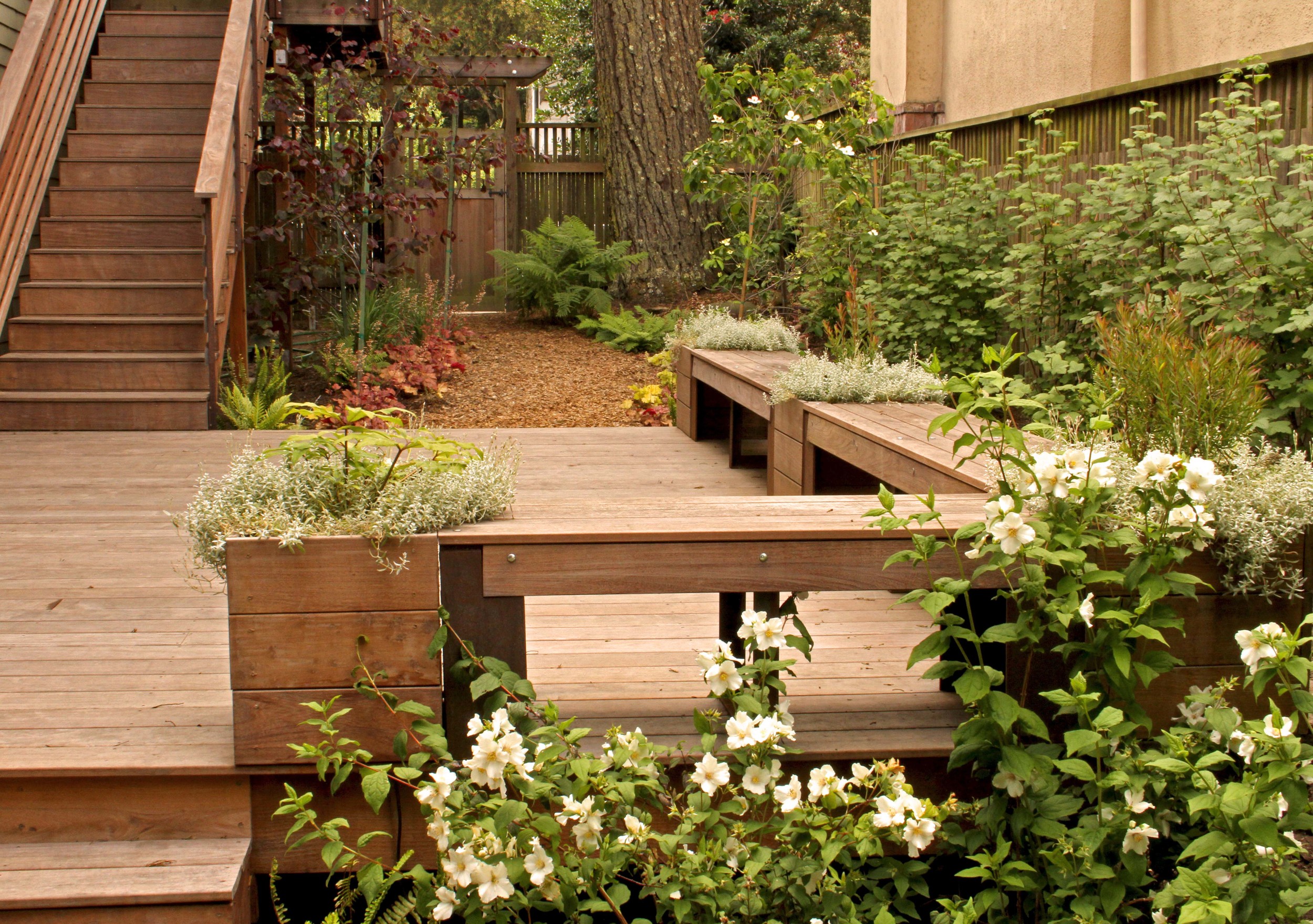 deck from back.jpg