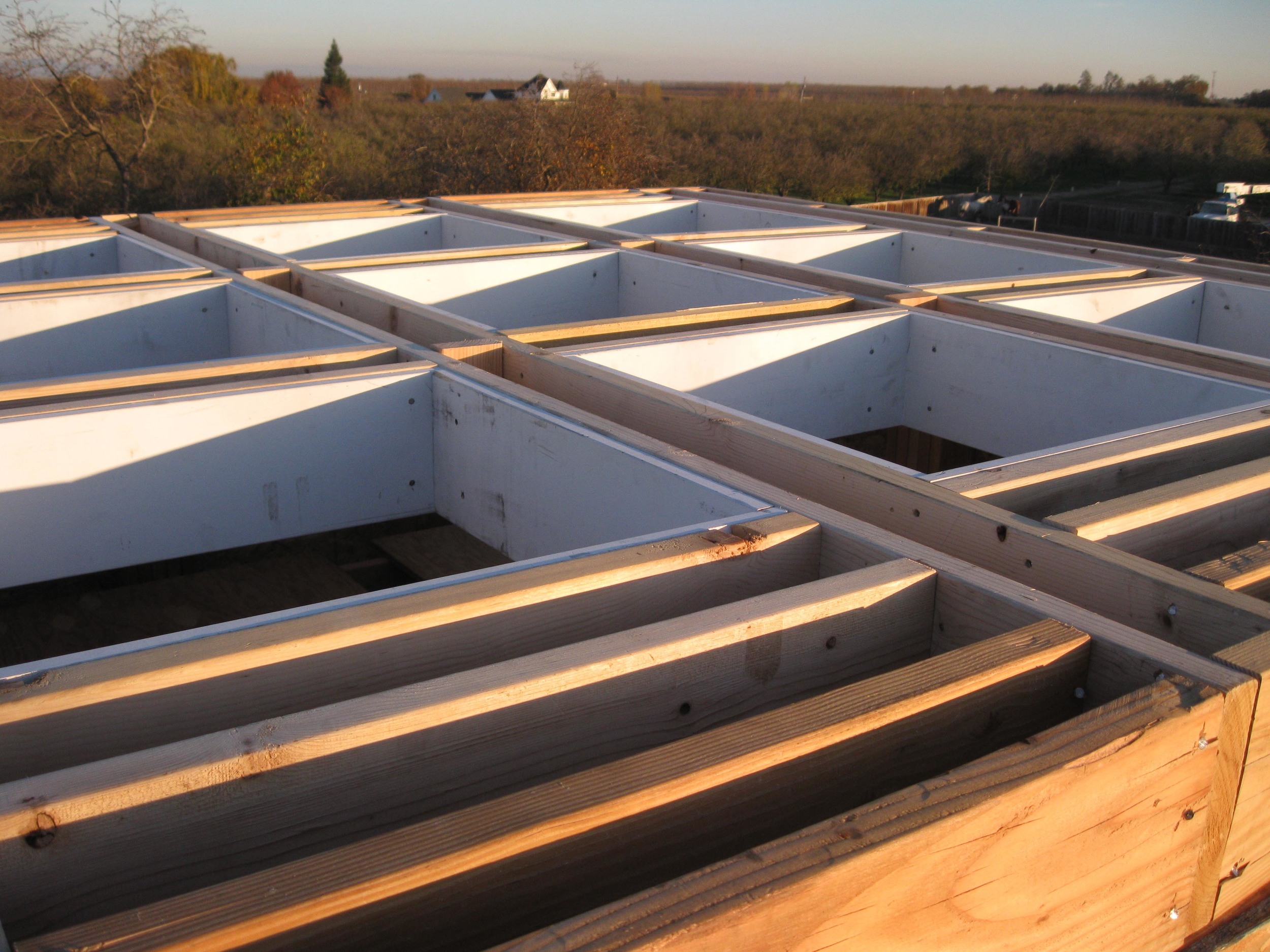 View of the adjacent orchards from the tower roof.