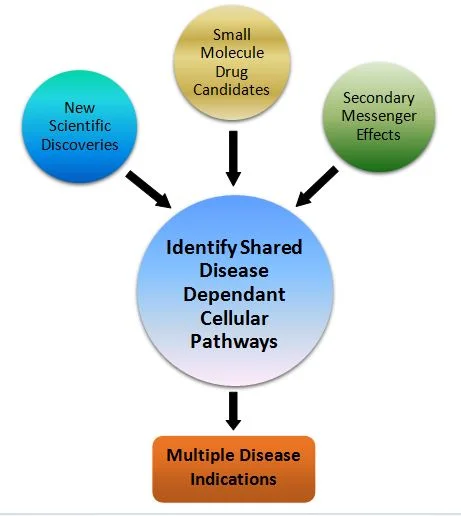 Our proprietary process is based on new scientific discoveries about mechanisms of action of drug candidates and the effects of second messenger systems on cellular pathways that are shared in multiple disease indications.