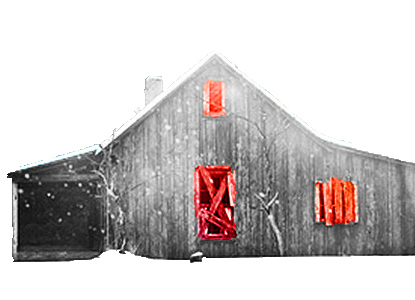 09 The Shack.jpg