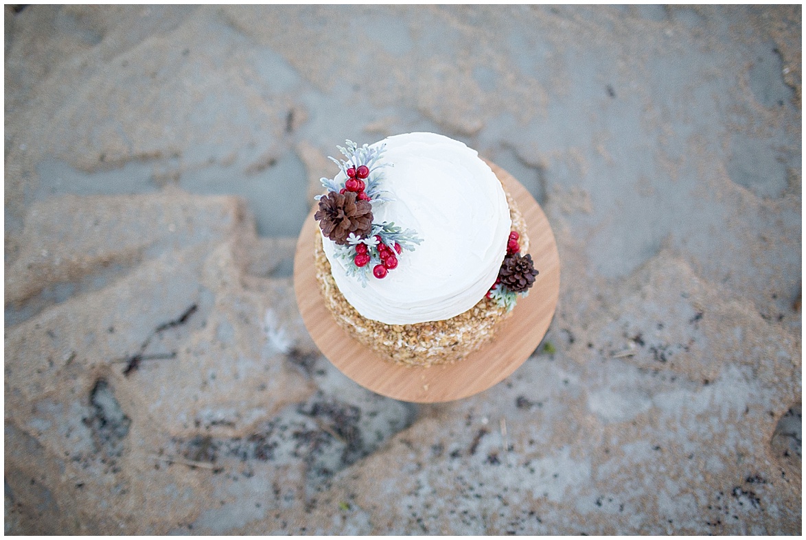 winter beach cake by stevie's got cakes @psjphotography