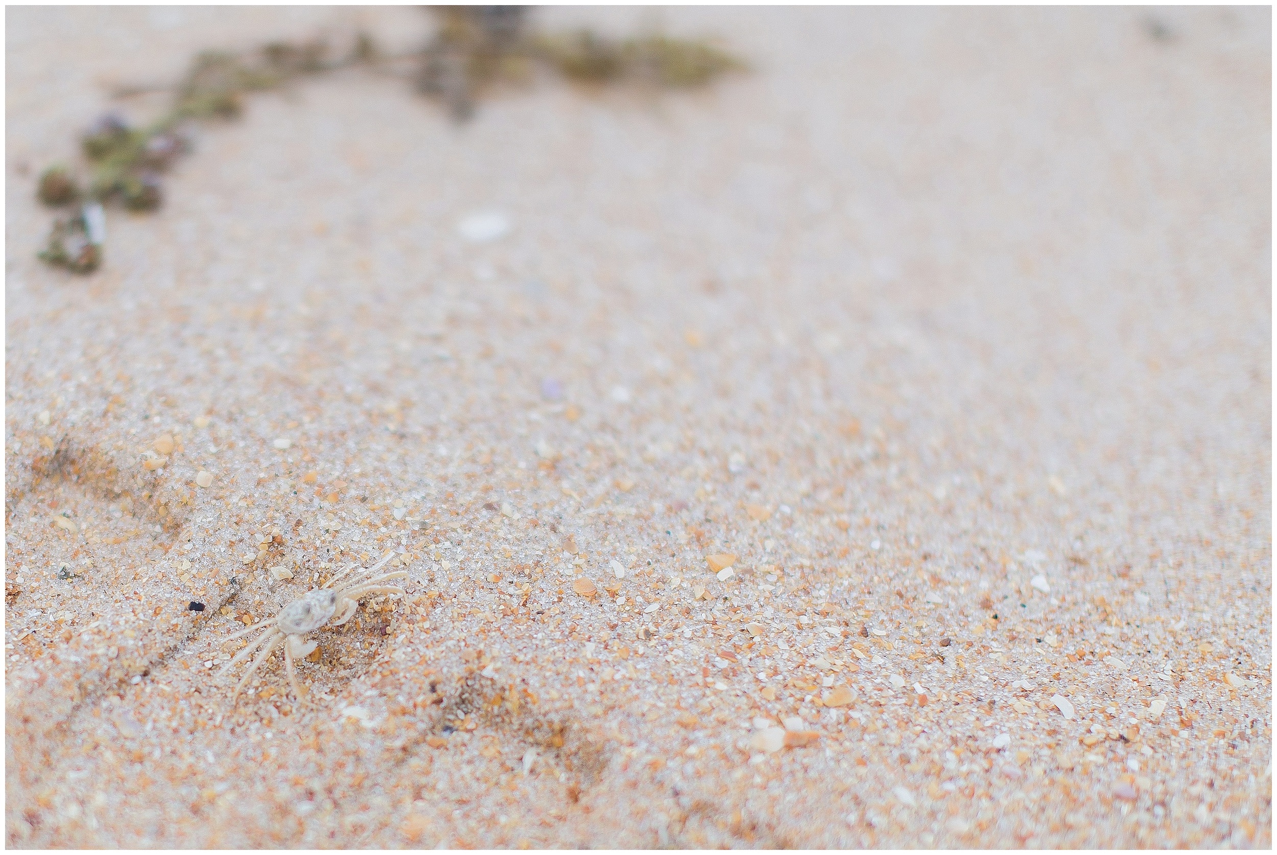 Florida Coast Engagement  |  PSJ Photography