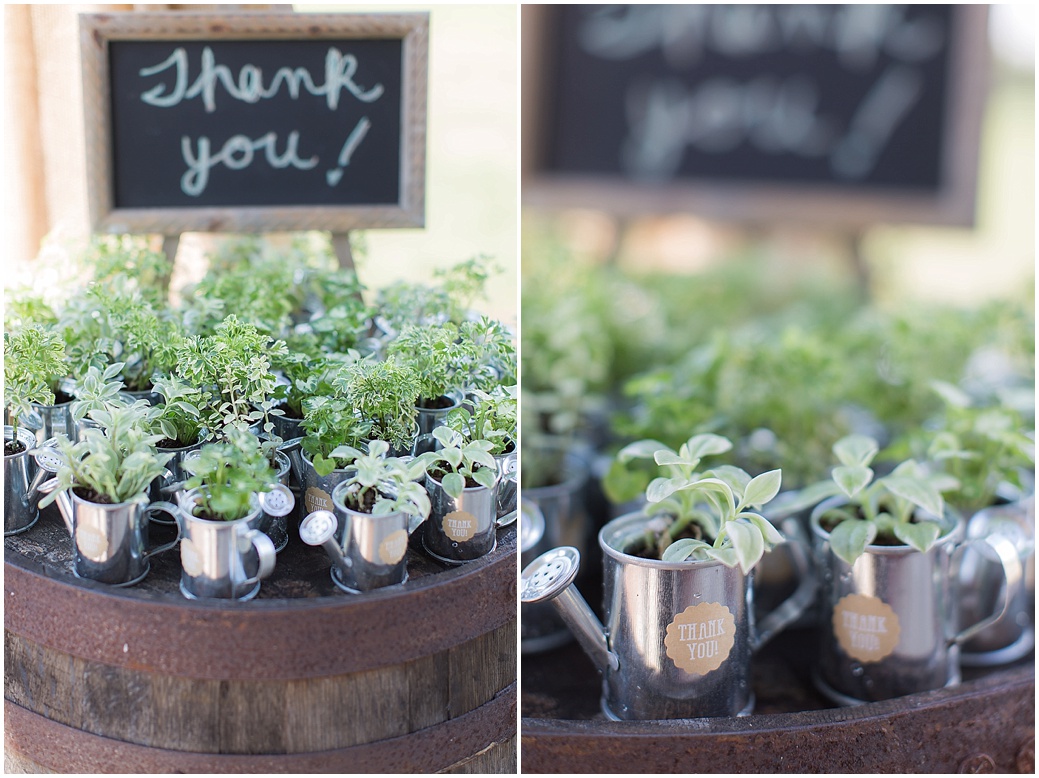 Isola Farms Rustic Vintage Florida Wedding  |  PSJ Photography