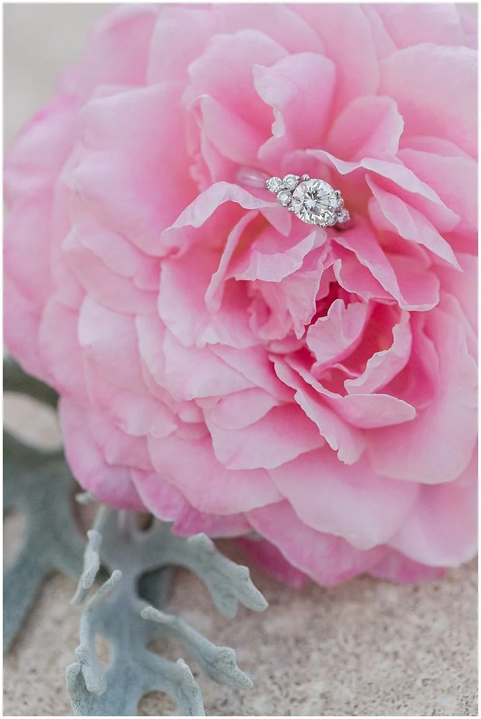 Rollins College Engagement in Winter Park Florida. PSJ Photography, DeLand, FL Wedding photographer.