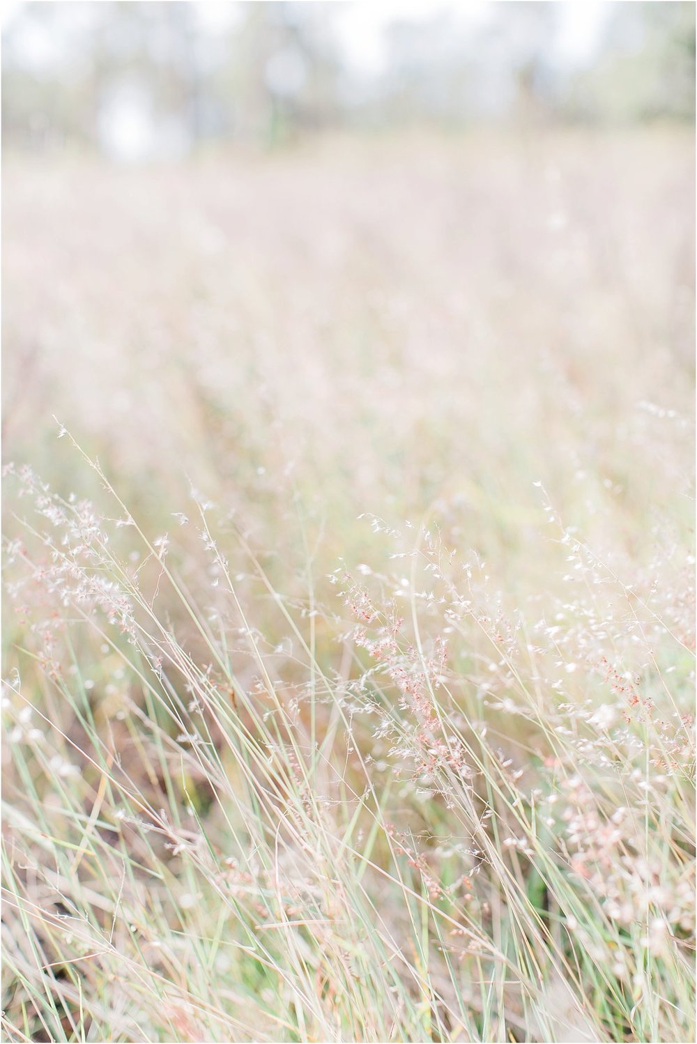 Bok Tower Engagement Session Fall Florida Tampa St Augustine DeLand Wedding Photographer22.jpg