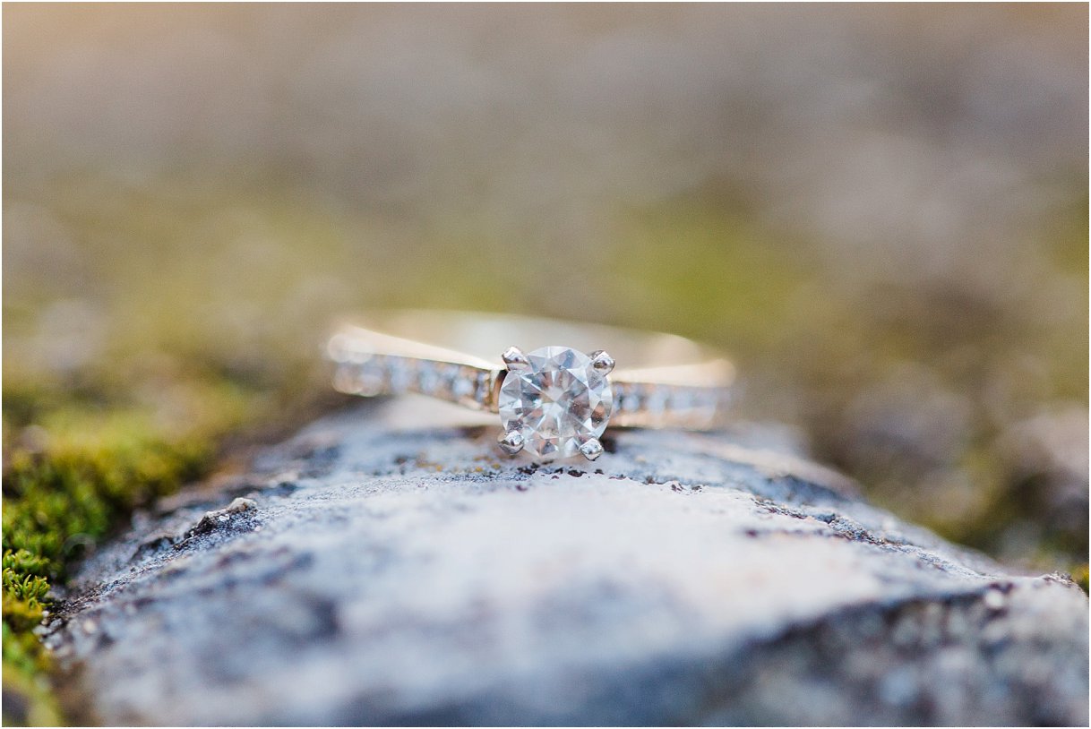 Tomoka Park Ormond Beach Florida Engagement Session Orlando Wedding Photographer PSJ Photography13.jpg