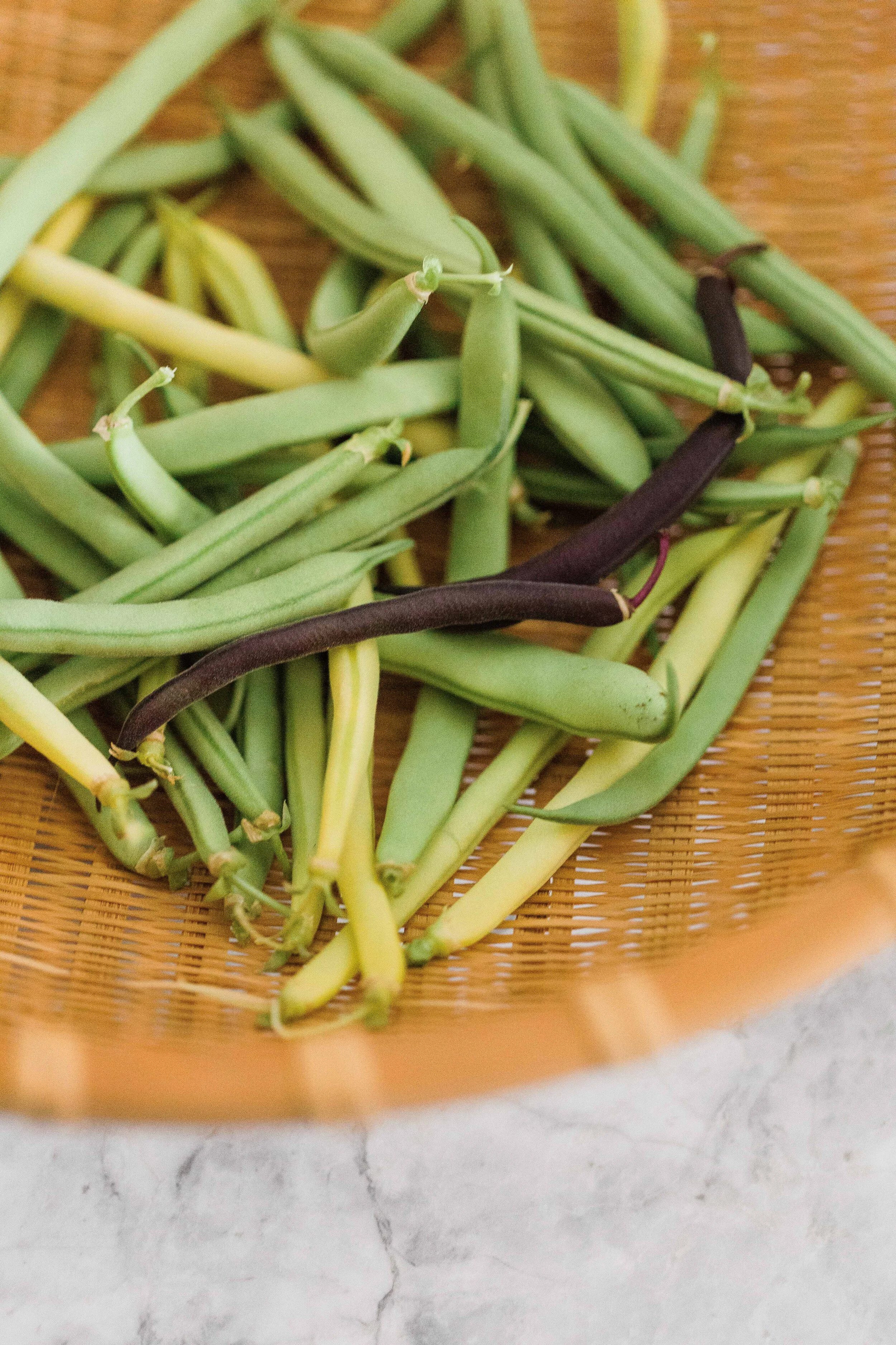 Growing Green Beans  