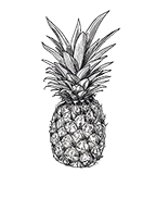 Pineapple by  Erica Group