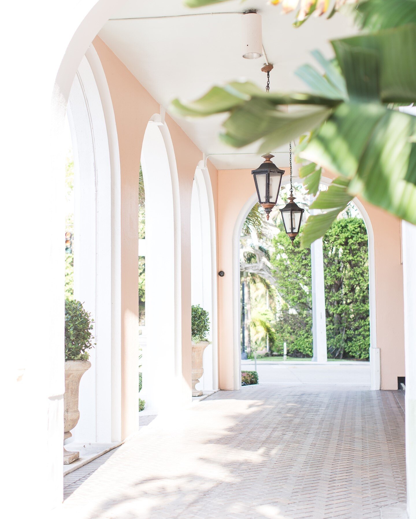 May your day be filled with pretty things and pink buildings 💕☀️ @thecolonypalmbeach 
.
.
.
#thecolony #pinkbuilding #pinkbuildings #pinklover💕 #pinkandwhite #palmbeachflorida #palmlover #birdofparadise #sunnydays☀️ #pinkexterior #southfloridadesig