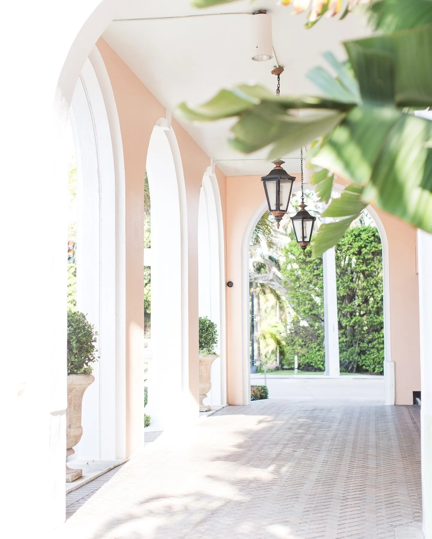 May your day be filled with pretty things and pink buildings 💕☀️ @thecolonypalmbeach 
.
.
.
#thecolony #pinkbuilding #pinkbuildings #pinklover💕 #pinkandwhite #palmbeachflorida #palmlover #birdofparadise #sunnydays☀️ #pinkexterior #southfloridadesign