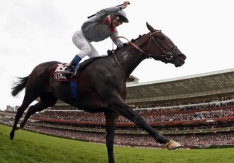 Horse racing in France 370. (photo credit:REUTERS)