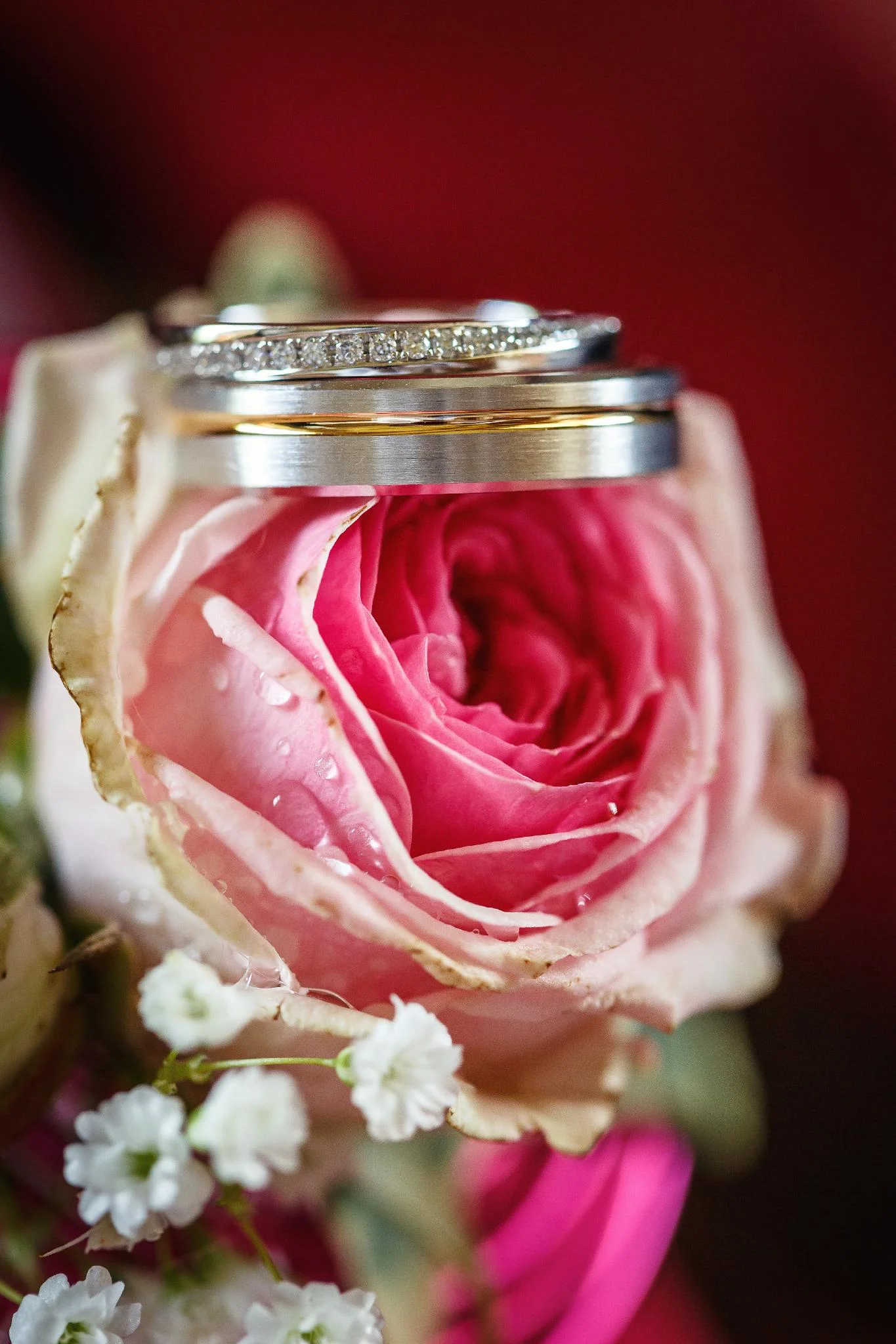 Coralie&Nicolas-189.jpg