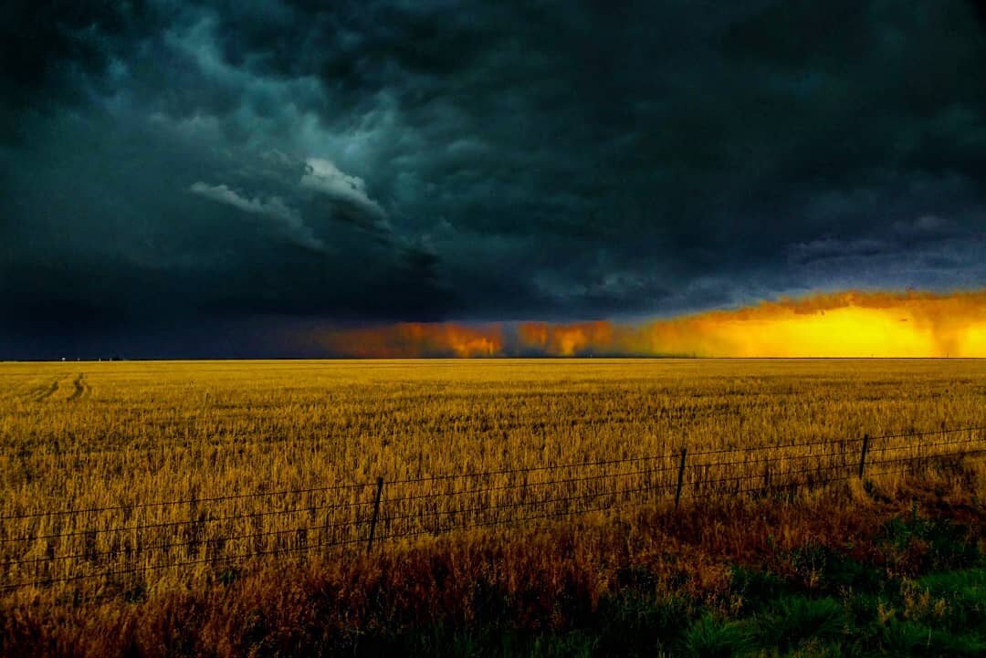 Water from heaven to a thirsty earth. #amarillo #tornadoalley