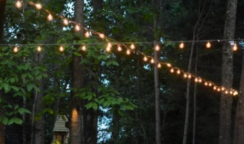 Robin-All-Things-Heart-and-Home-Landscape-Lighting-19.jpg