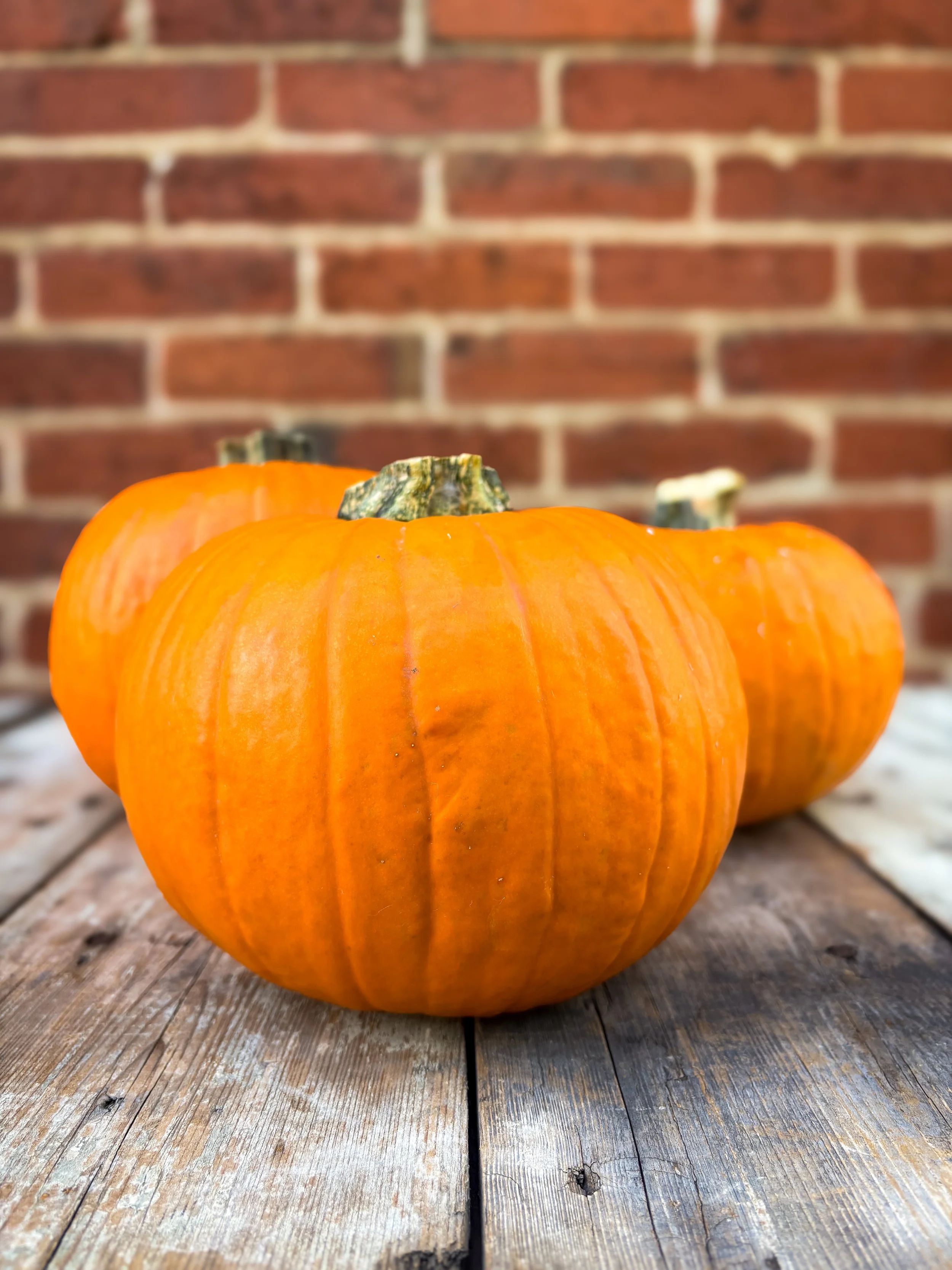 Pumpkin.jpg