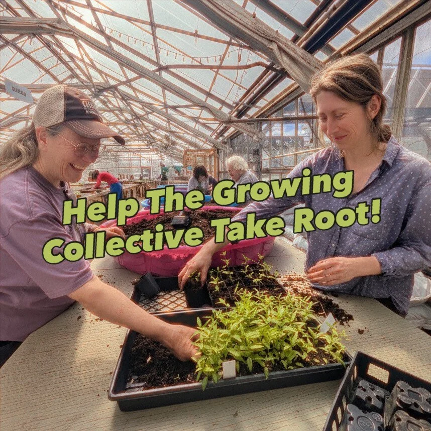 @growingcollectivewi has officially launched its first major fundraising campaign since becoming an independent nonprofit! The Seed Money Campaign is seeking to raise $300,000 to help the Growing Collective take root and expand the services it provid