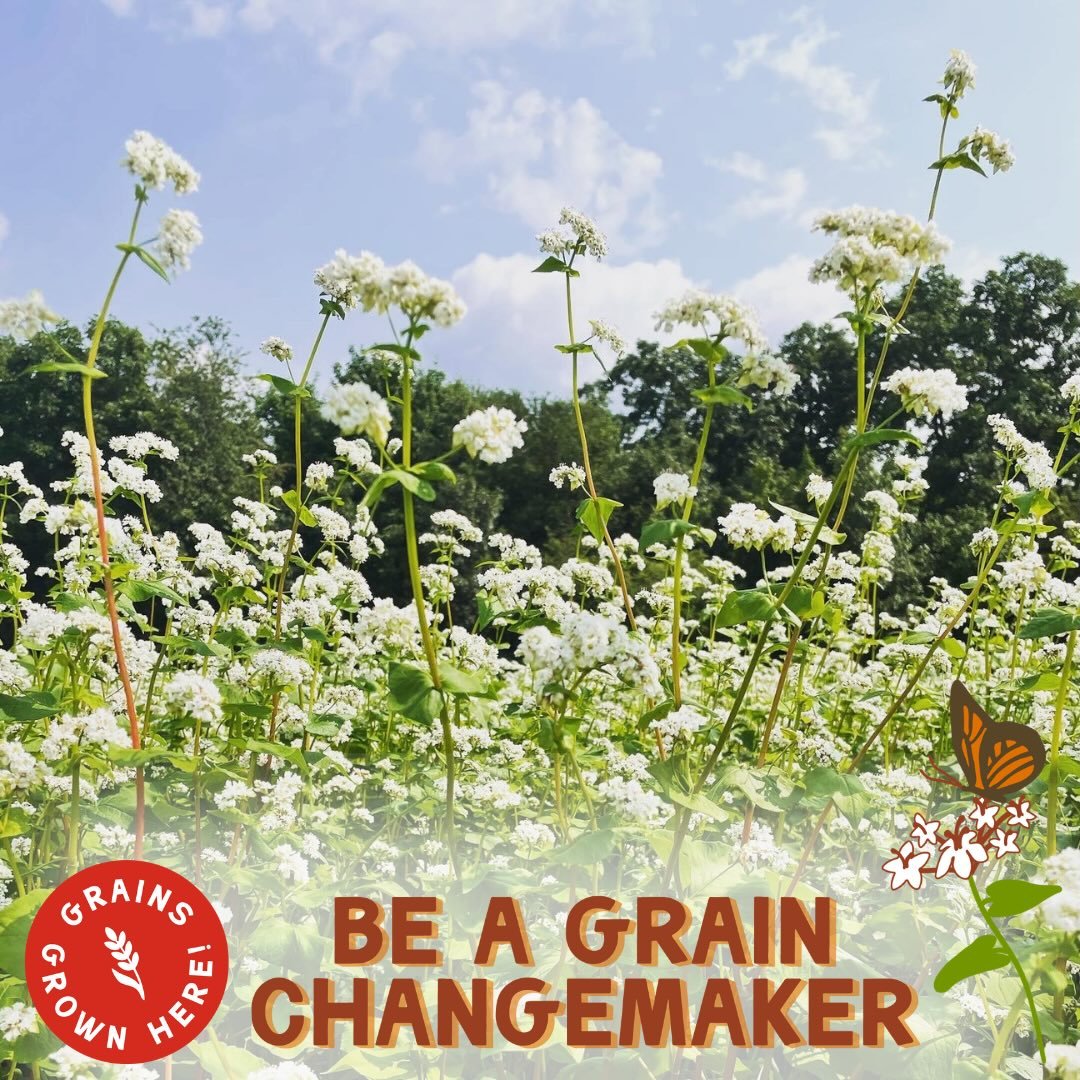 Did you know?
Crop rotations, cover crops in the winter, and planting a diverse range of crops are practices that grain farmers employ not only to diversify farm income, but also to support soil and water stewardship. Look for the Grains Grown Here b