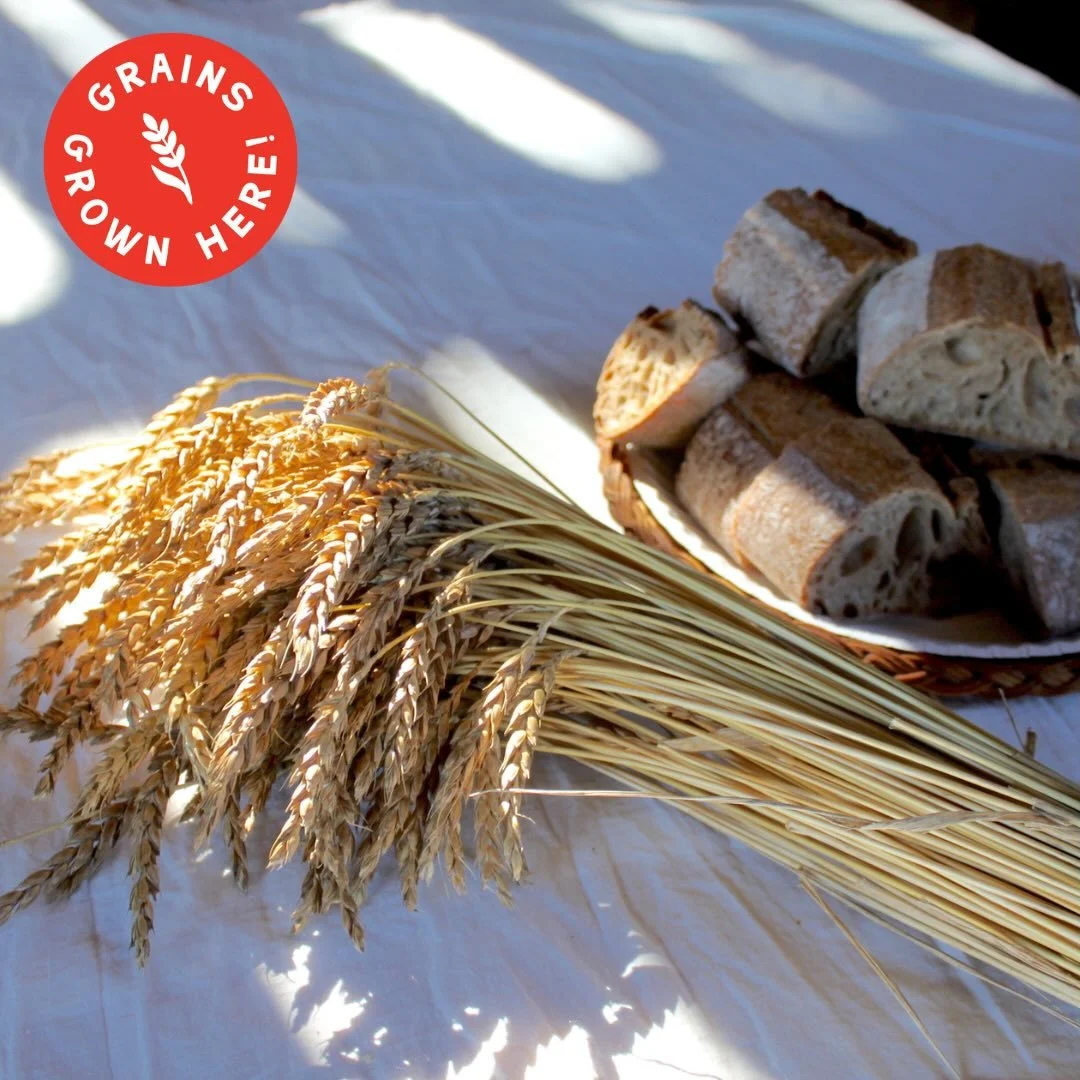 Did you know that fresh, stone-milled flour has more flavor?
Also, that regional farms select grain varieties with flavor in mind? 

Researchers are developing new crosses with heirloom varieties and assessing how they work in the kitchen by collabor